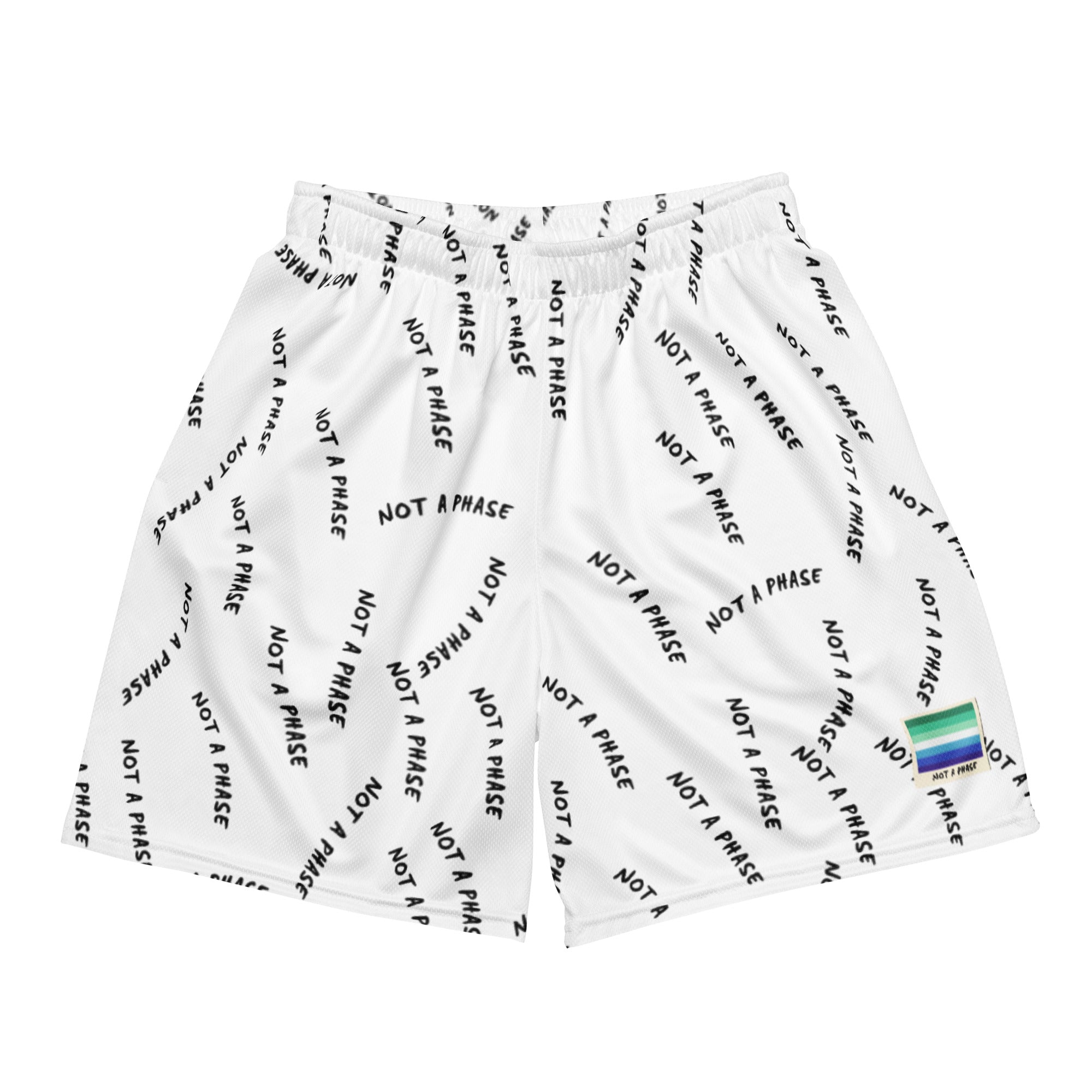 Not A Phase MLM Pride mesh shorts