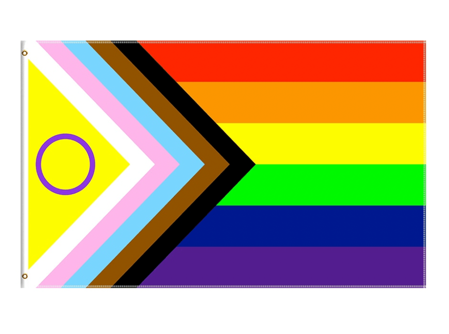 Intersex Rainbow Progress Pride Flag