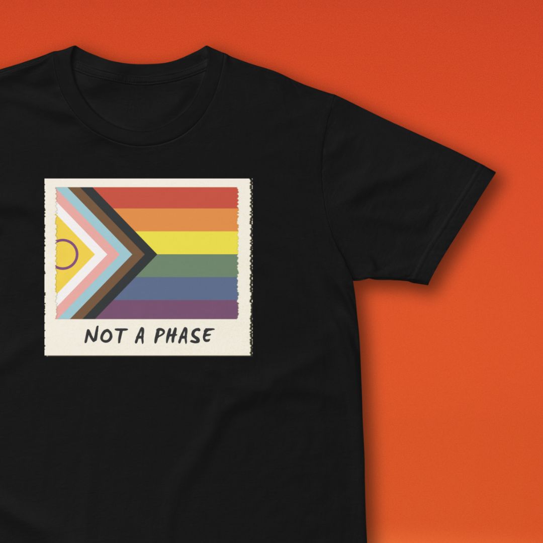 Not A Phase Progress Pride polaroid tee, view 4 — Rose Gold Co