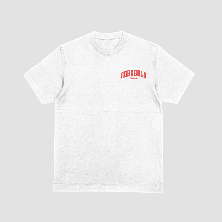 "Homophobia Is Not a Form of Masculinity" tee, view 2 — Rose Gold Co