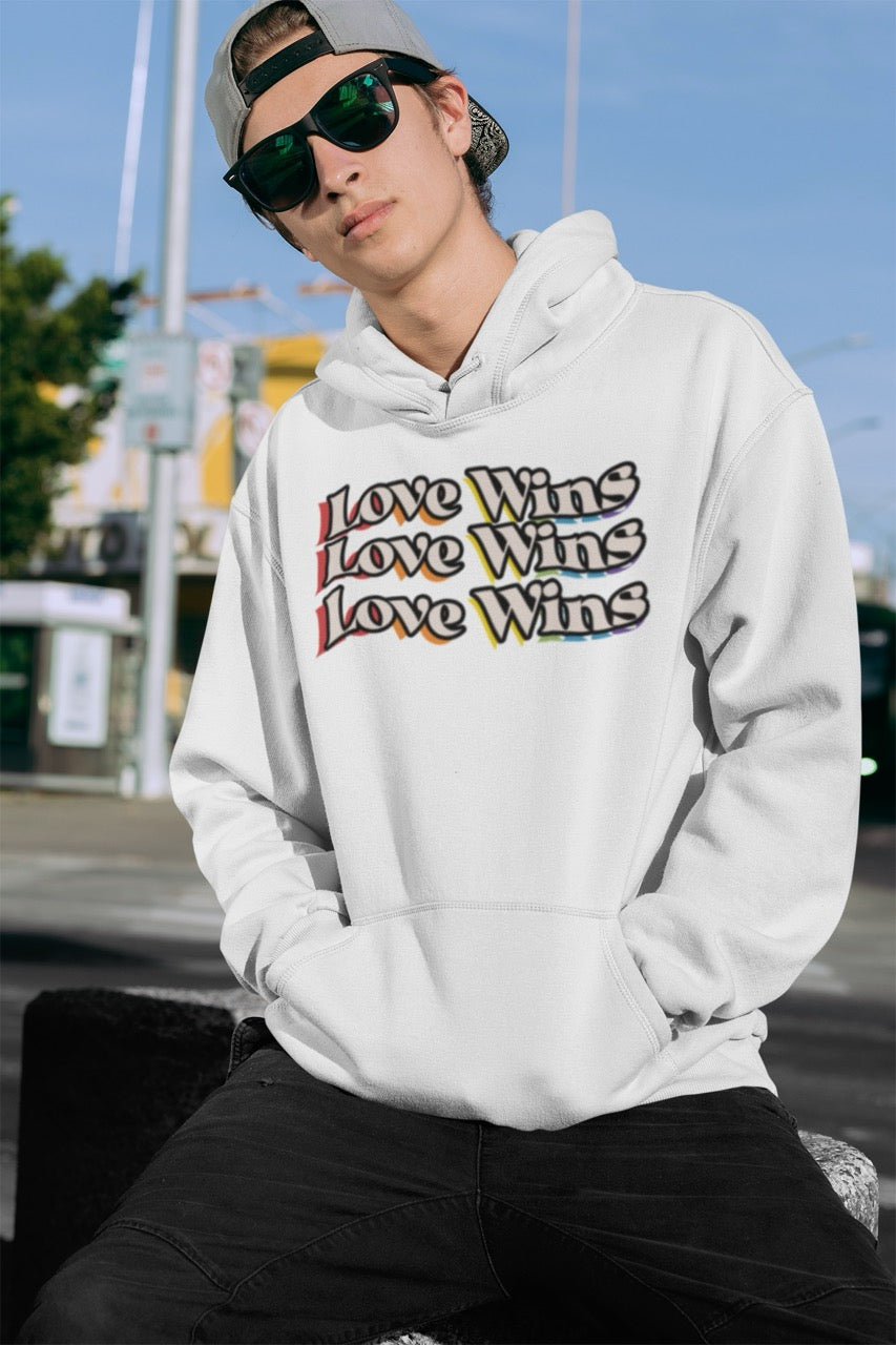 Love Wins rainbow shadow hoodie, back view — Rose Gold Co