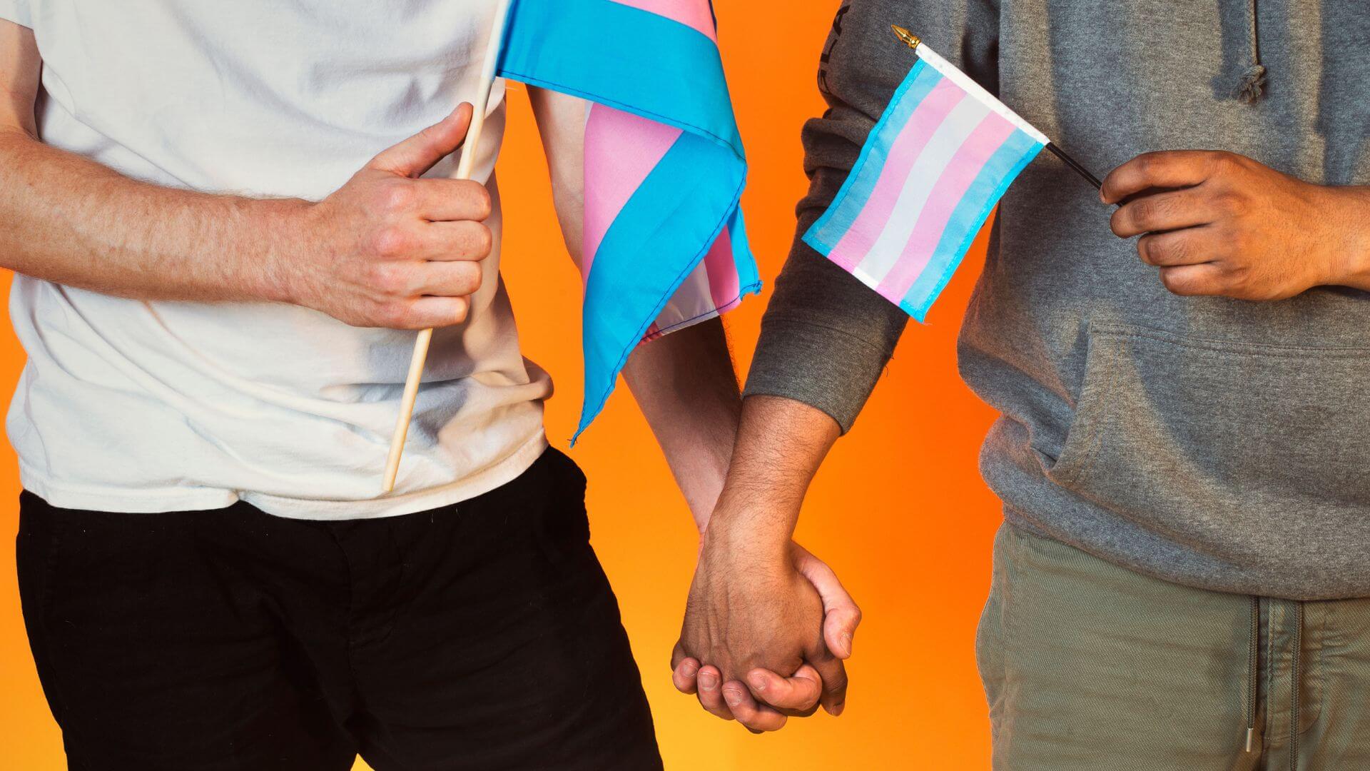 Two Men Holding hands and holding trans pride flags