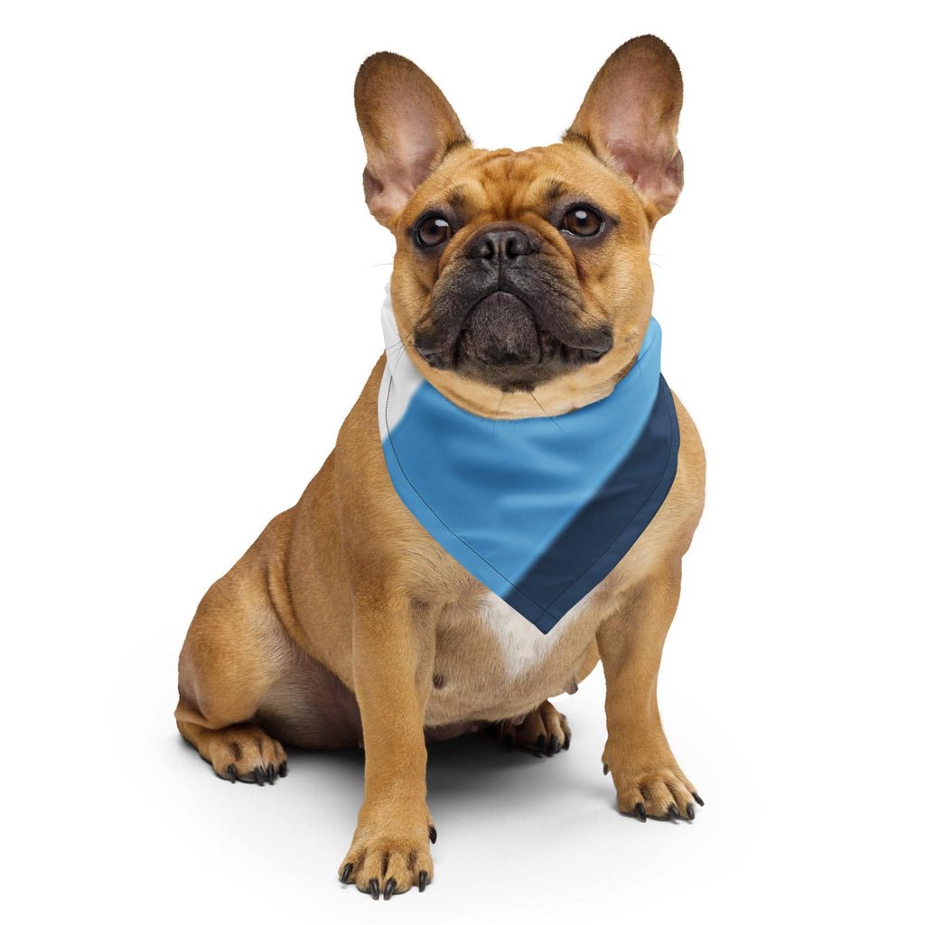 Aroace pride print bandana, view 5 — Rose Gold Co