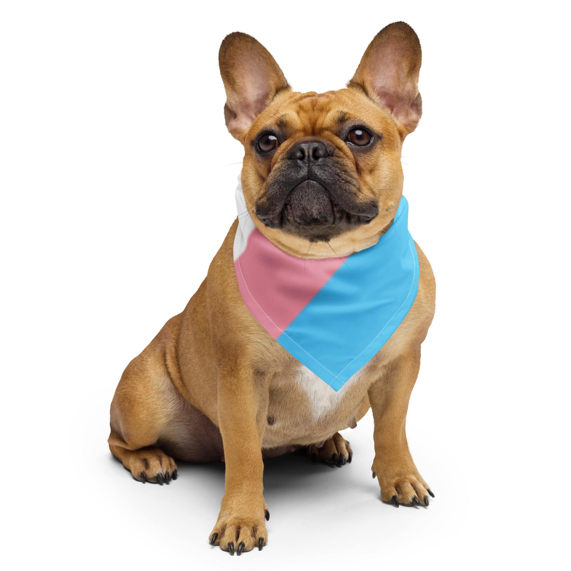 Trans pride flag bandana, view 6 — Rose Gold Co