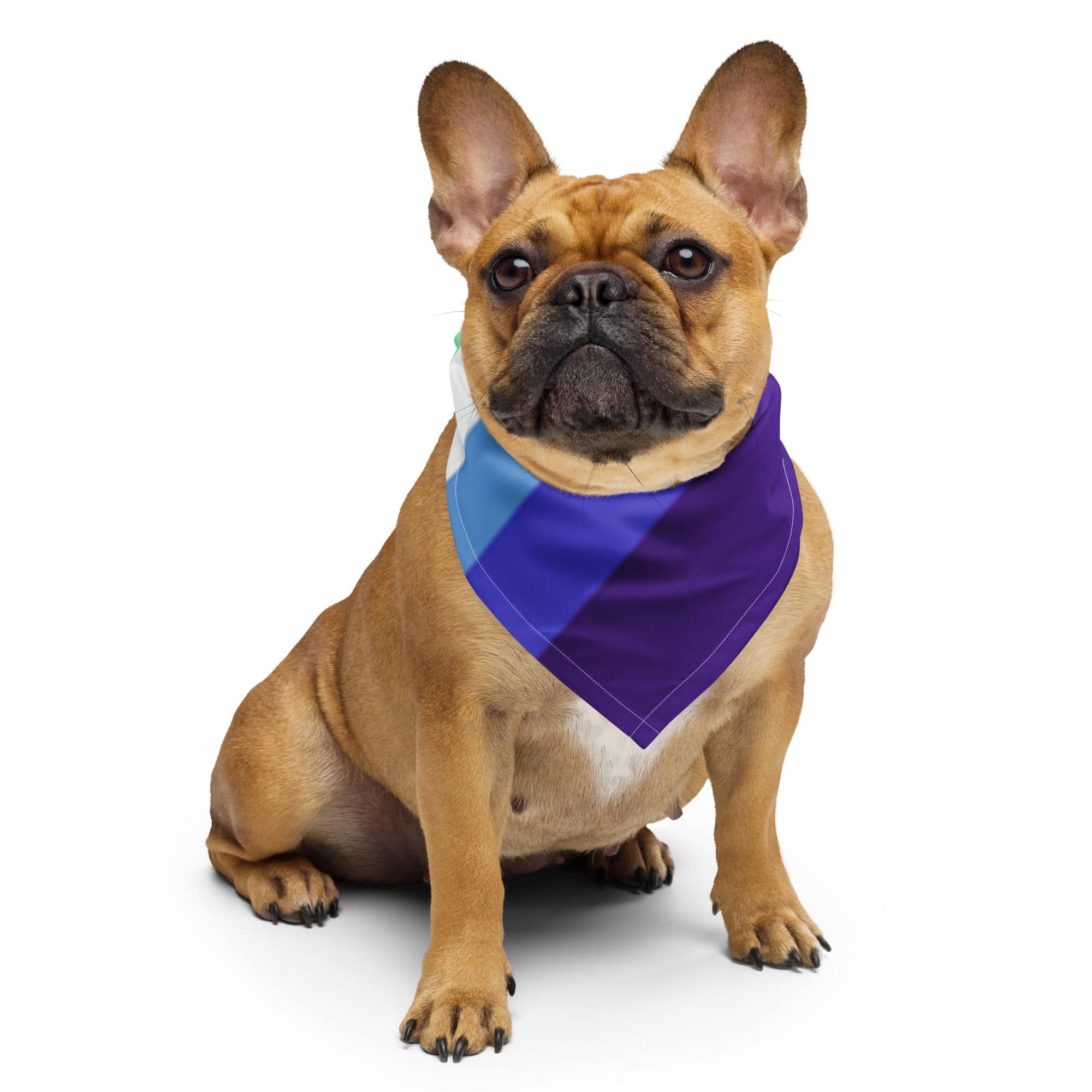 MLM pride flag bandana, view 5 — Rose Gold Co