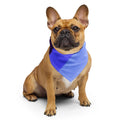 Omni pride flag bandana, view 6 — Rose Gold Co