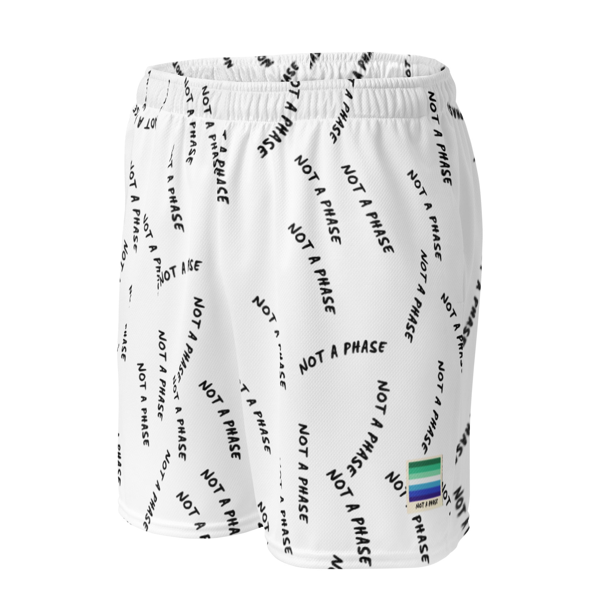 Not A Phase MLM pride mesh shorts, view 3 — Rose Gold Co