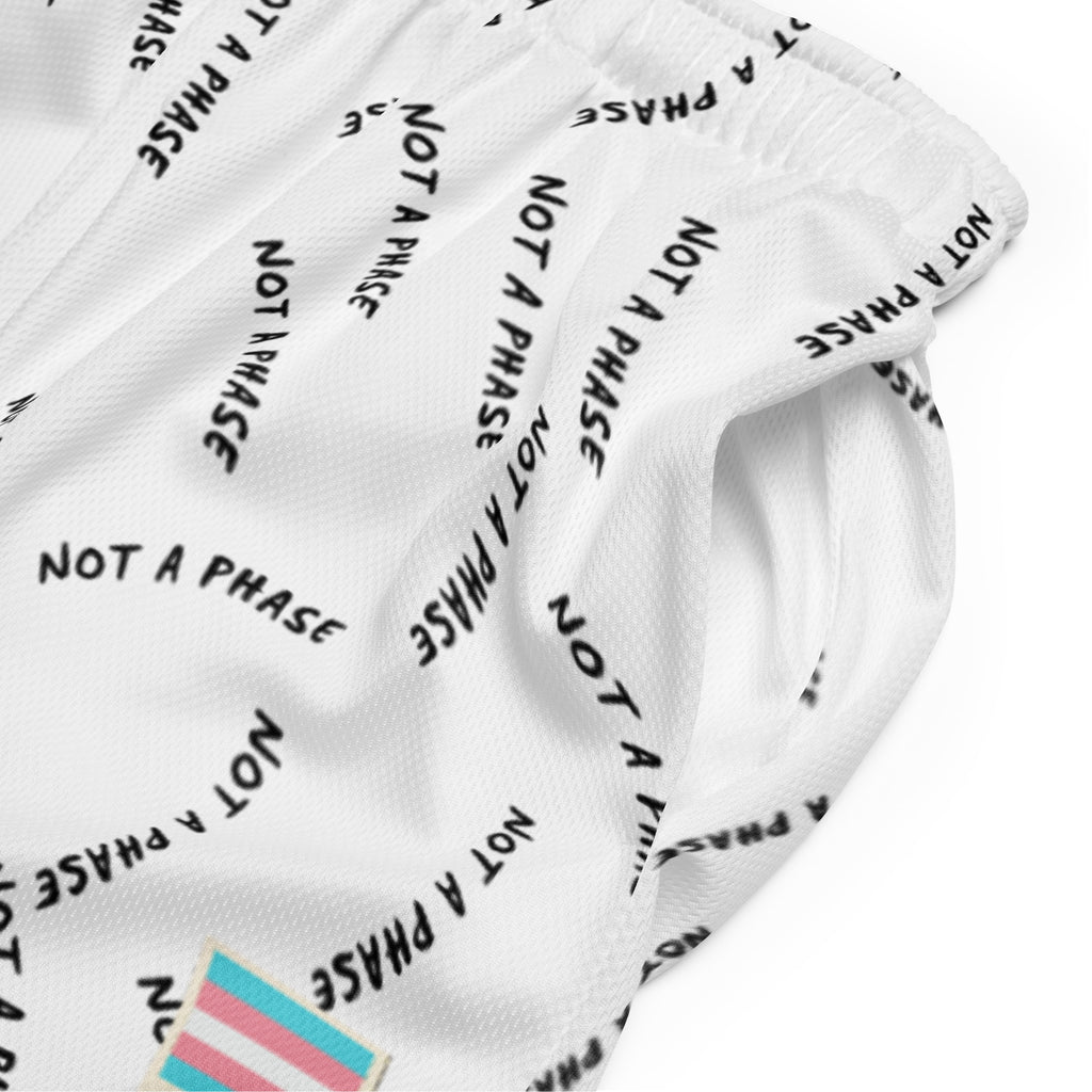 Not A Phase trans pride mesh shorts, view 4 — Rose Gold Co