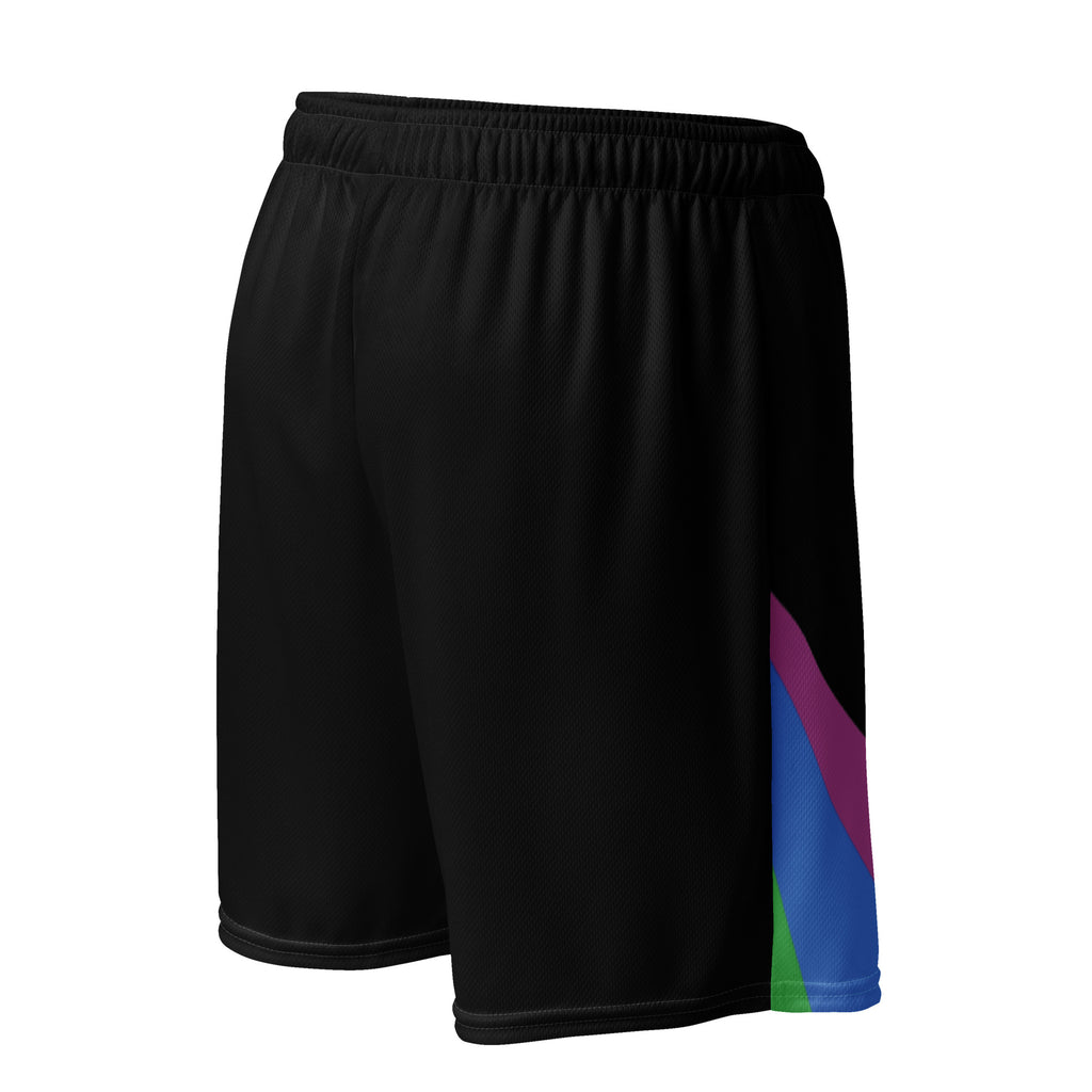 Retro rainbow pride mesh shorts, view 5 — Rose Gold Co