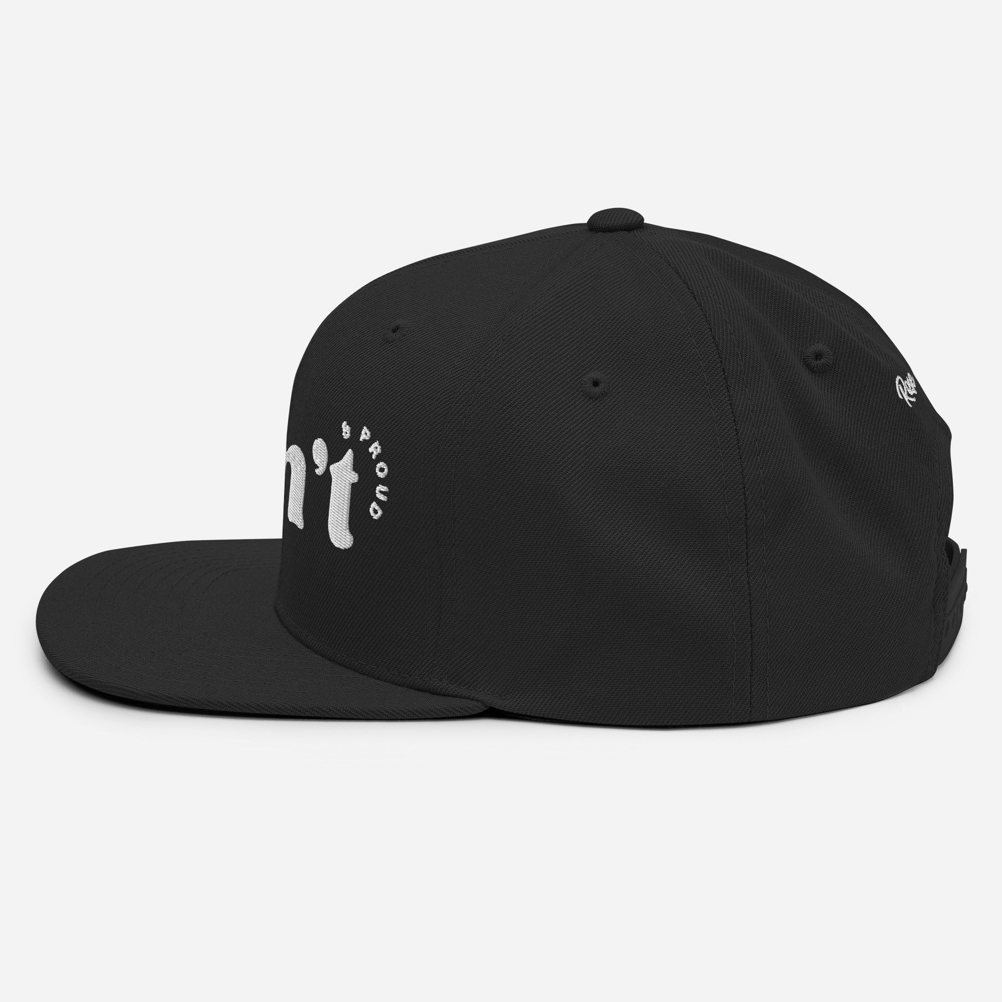 Cisn't snapback hat, view 5 — Rose Gold Co