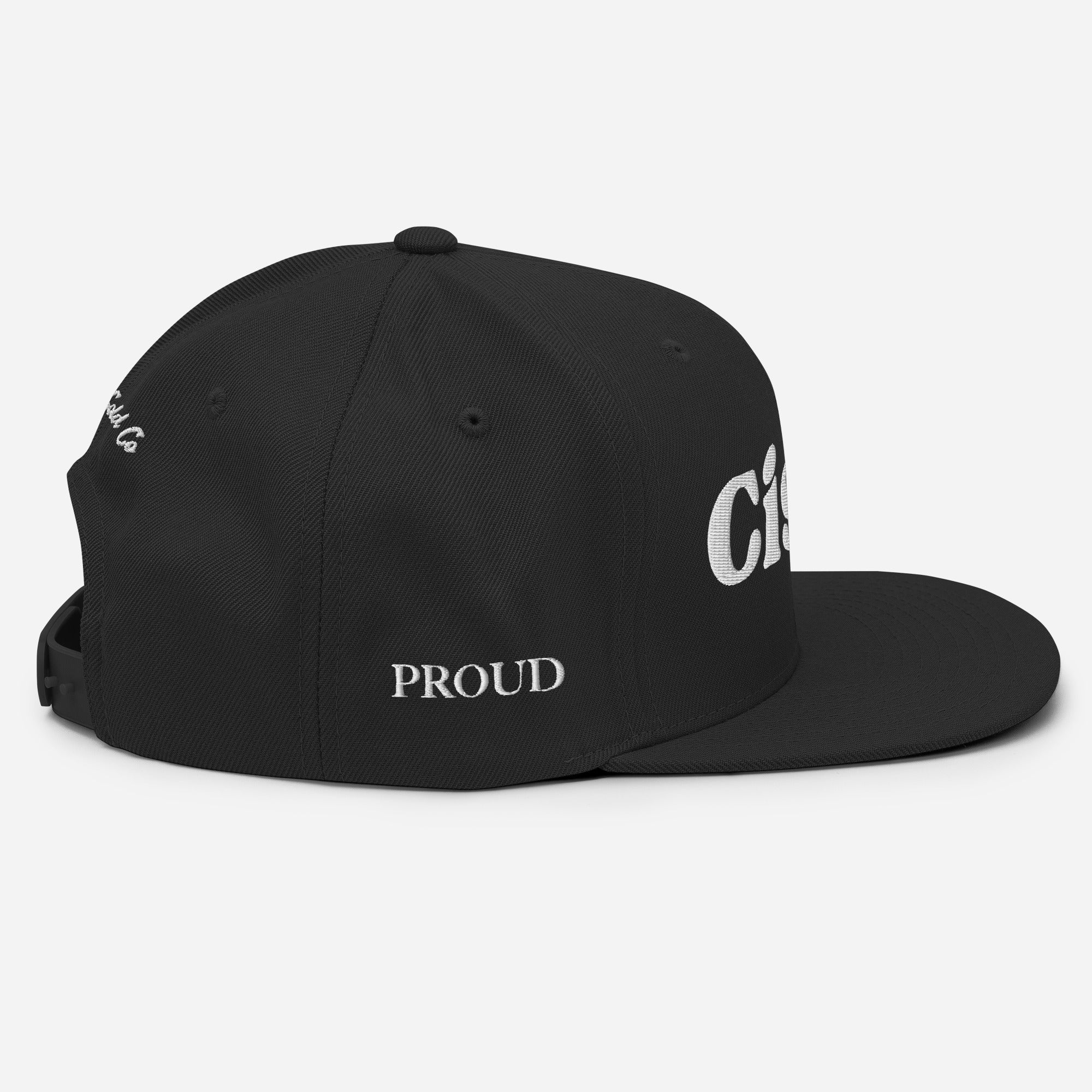 Cisn't snapback hat, view 7 — Rose Gold Co