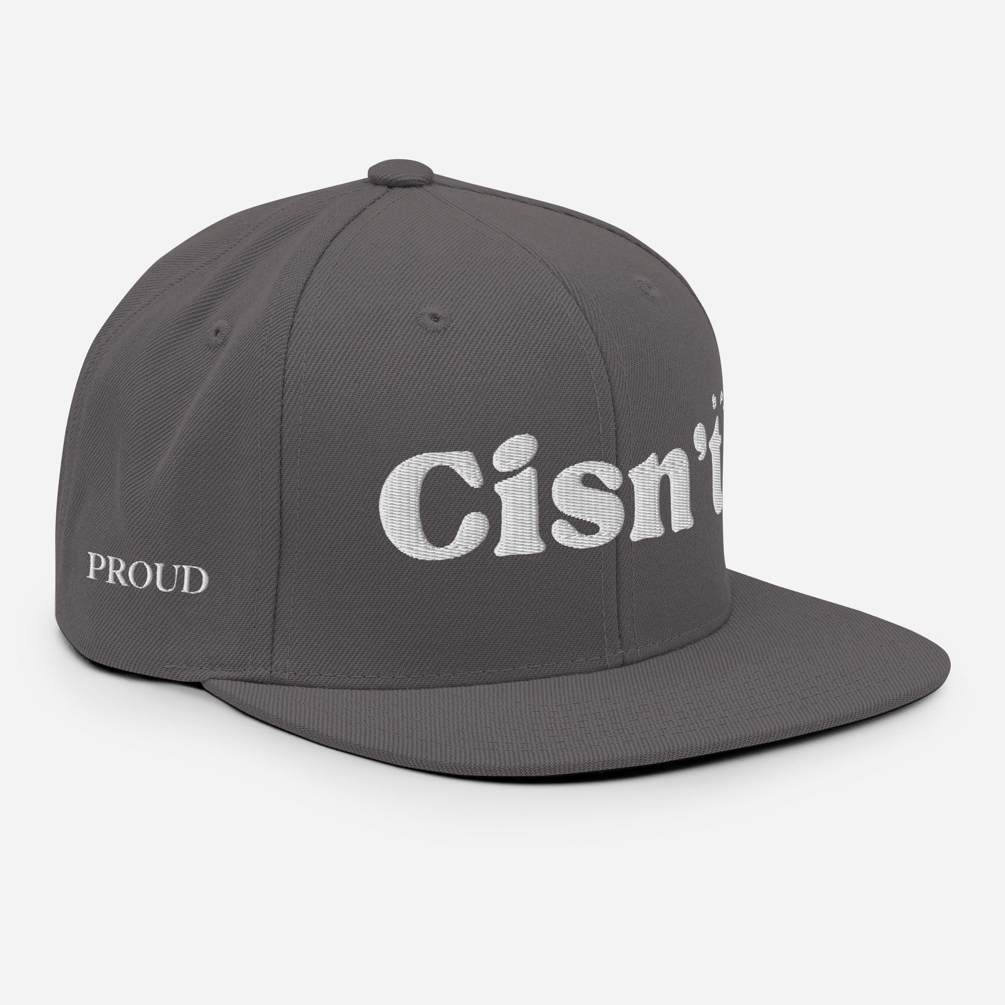 Cisn't Snapback | Trans & Non-Binary Pride Hat