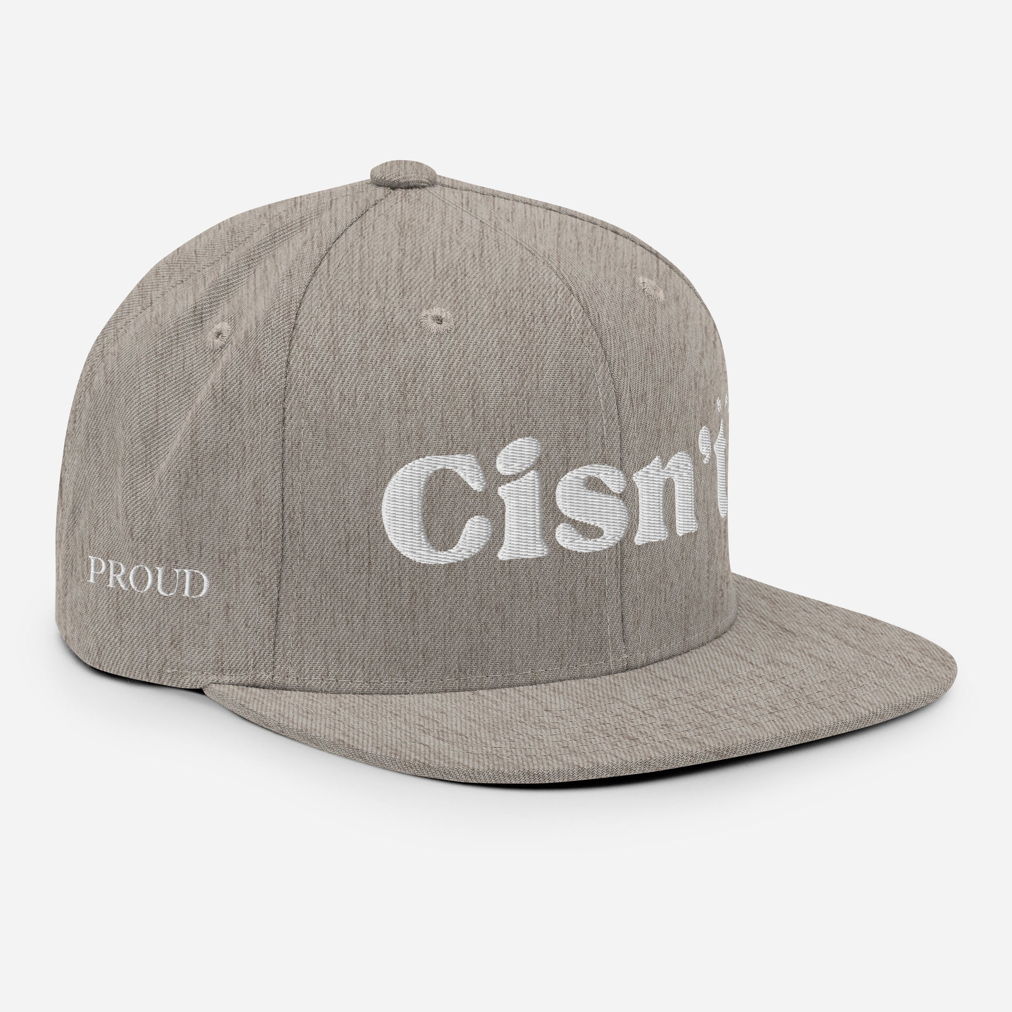 Cisn't Snapback | Trans & Non-Binary Pride Hat