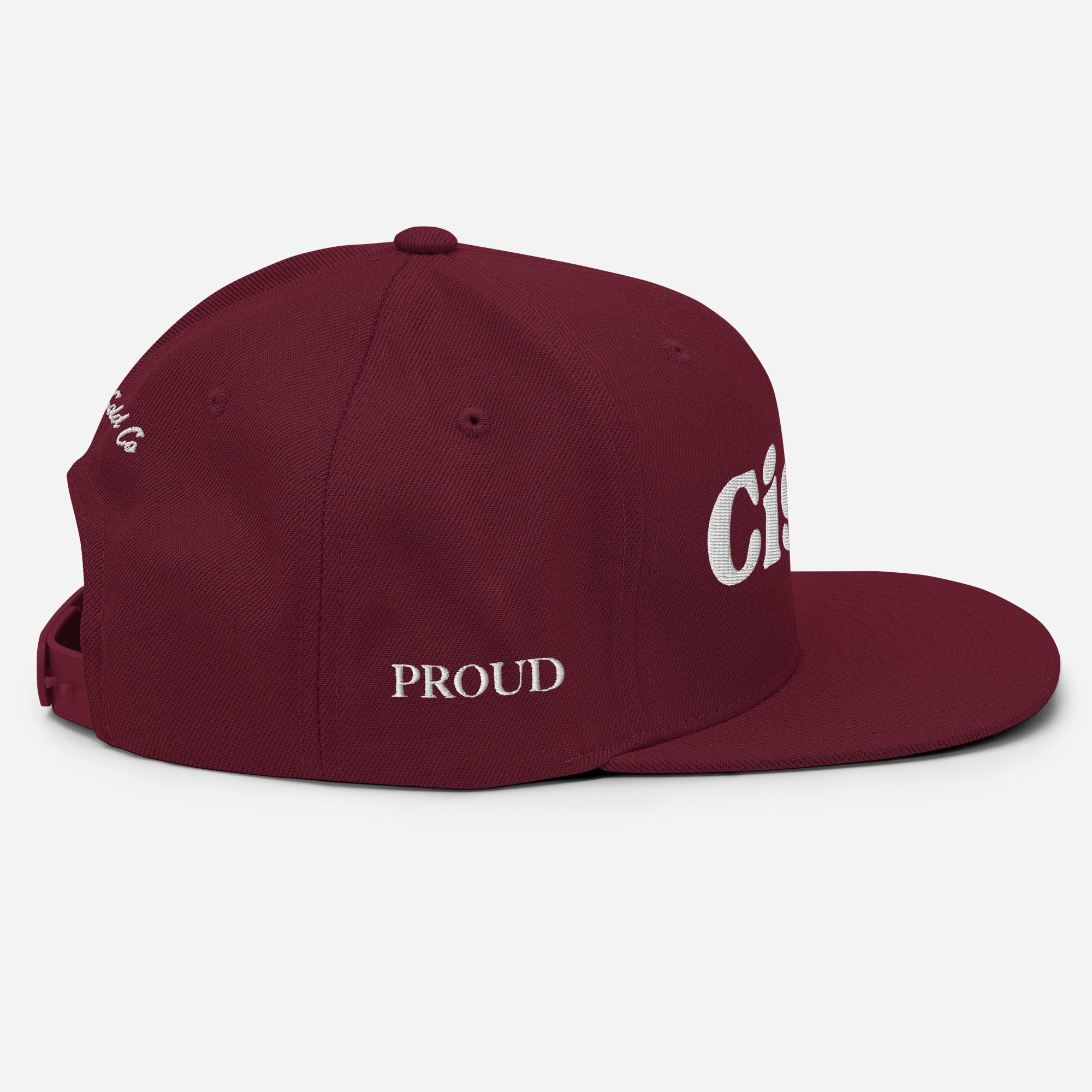 Cisn't snapback hat, view 13 — Rose Gold Co