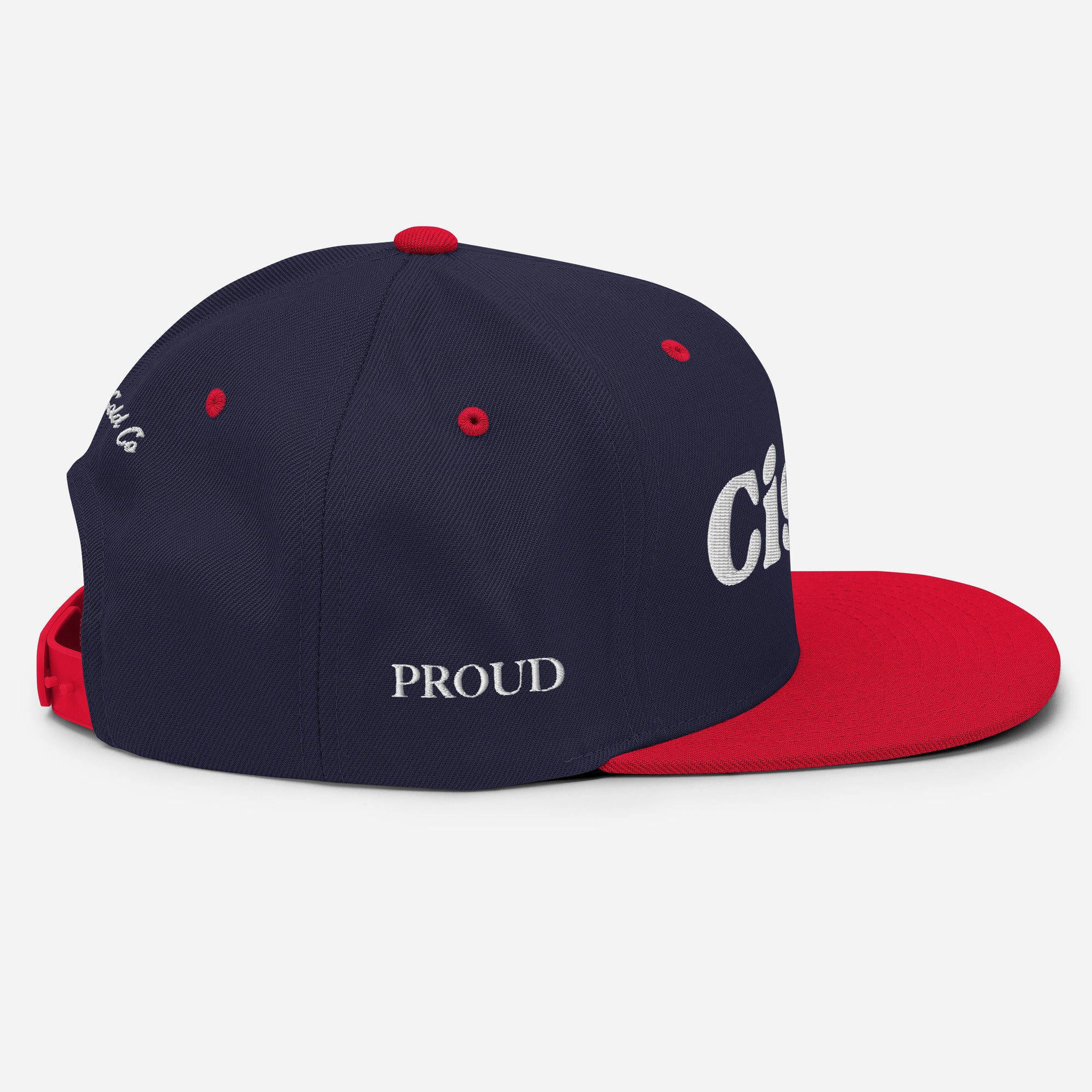 Cisn't snapback hat, view 18 — Rose Gold Co