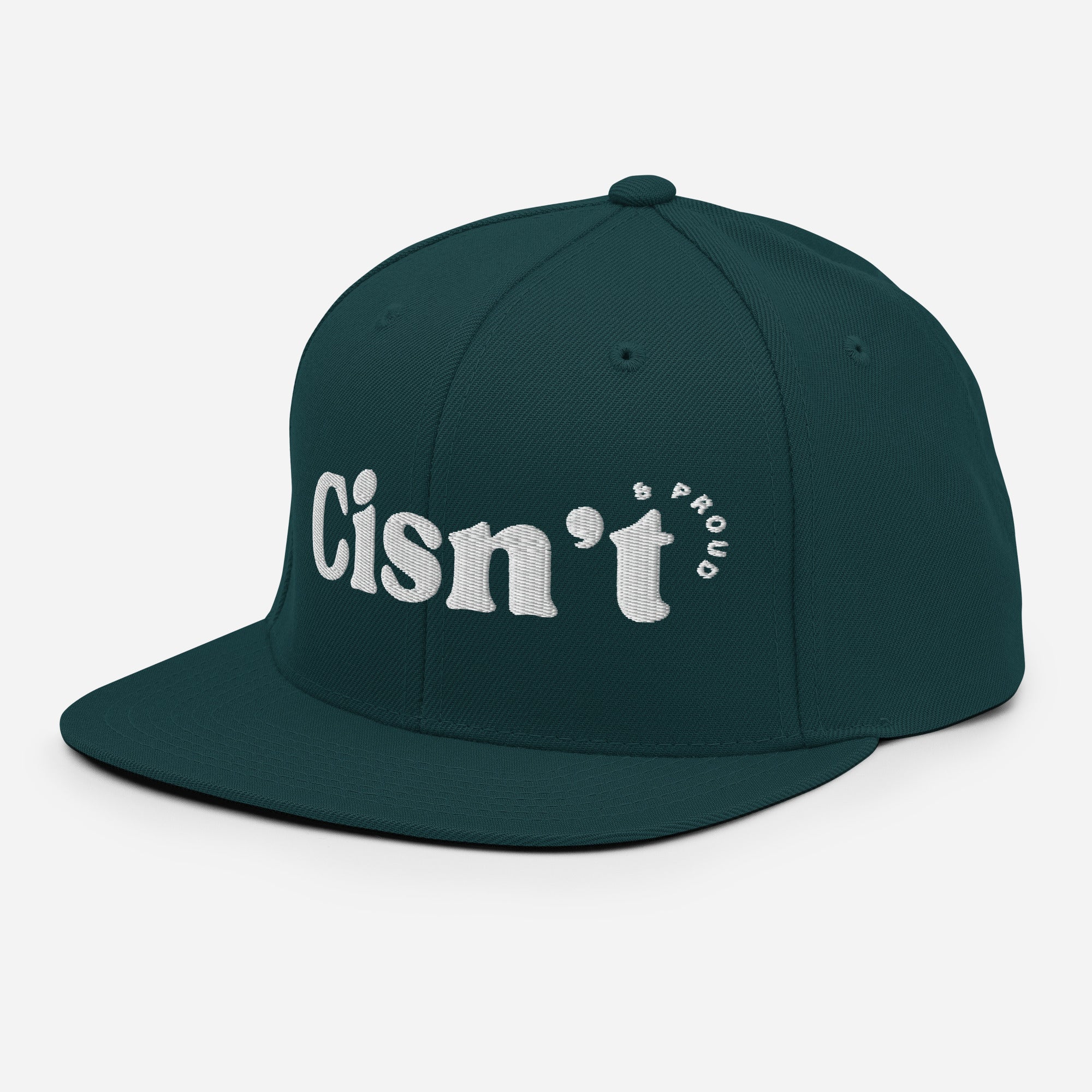 Cisn't Snapback | Trans & Non-Binary Pride Hat