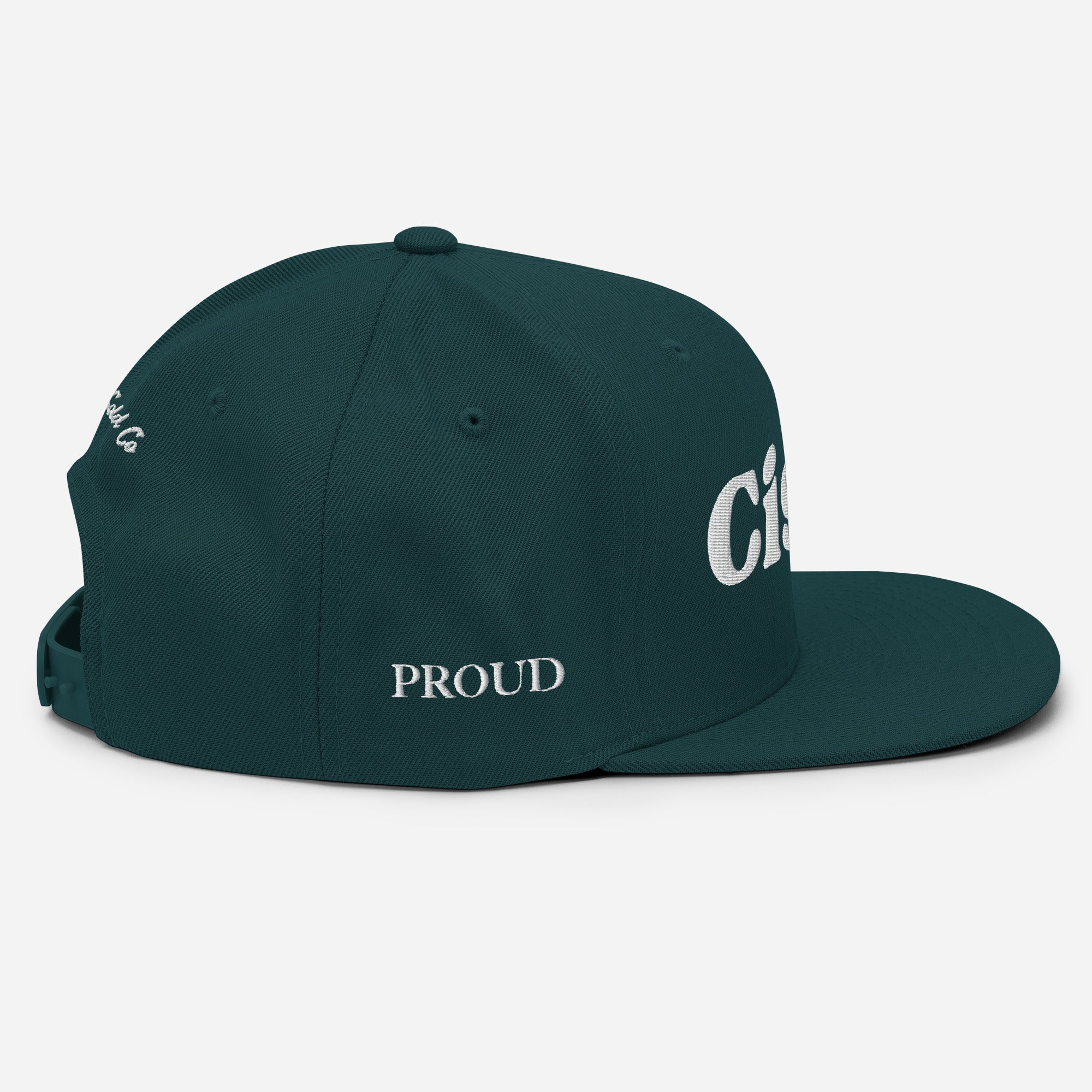 Cisn't Snapback | Trans & Non-Binary Pride Hat