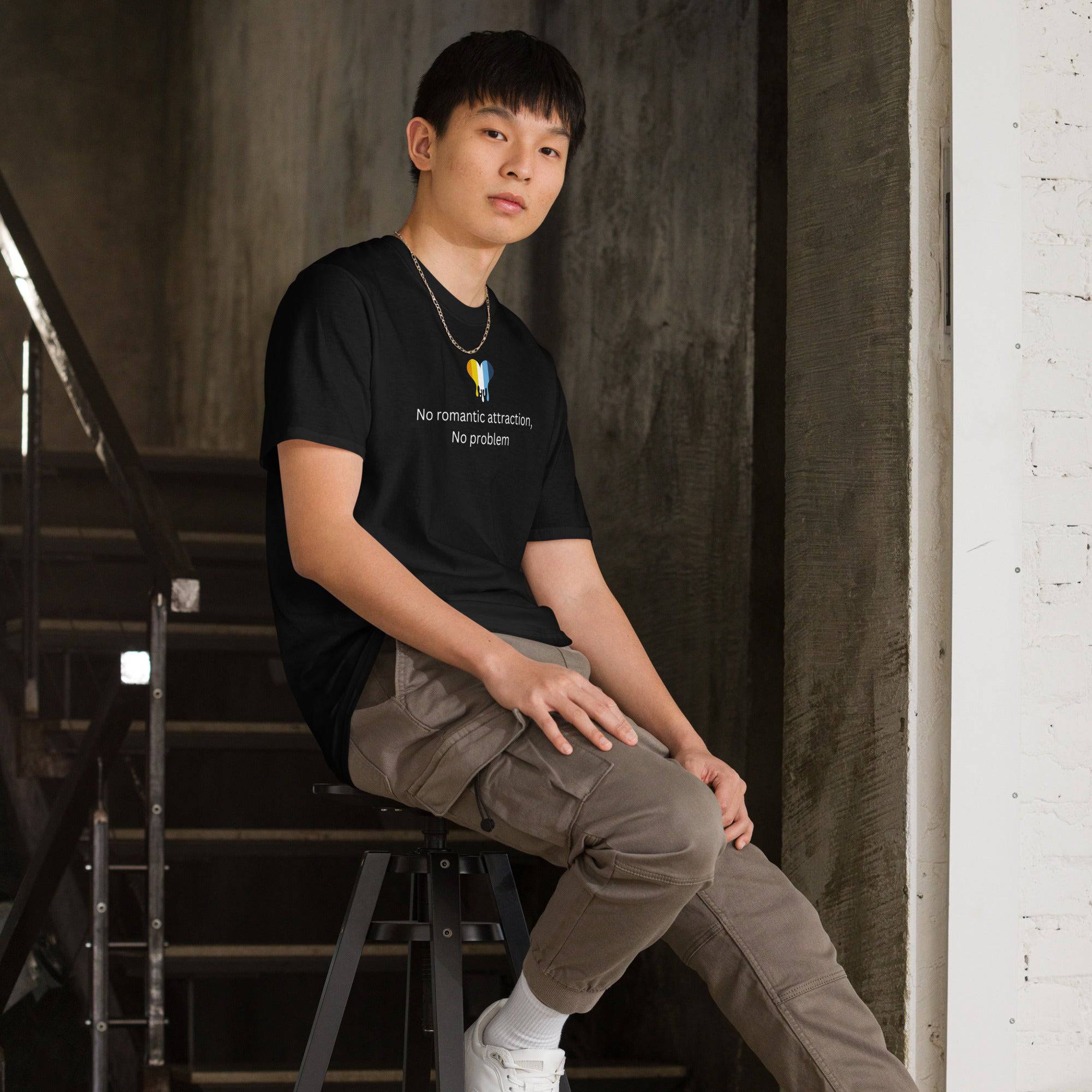 Aroace pride flag tee, view 3 — Rose Gold Co