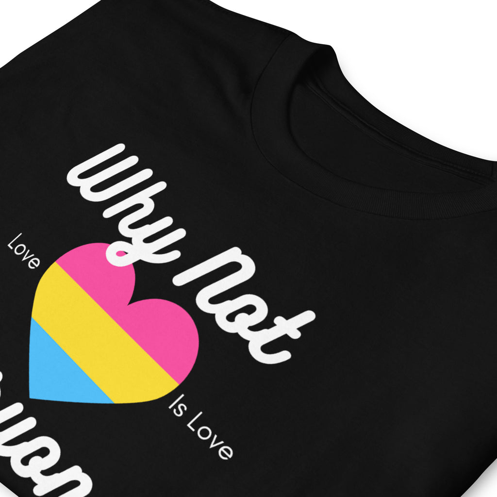 Why Not Everyone? pansexual pride tee, view 4 — Rose Gold Co