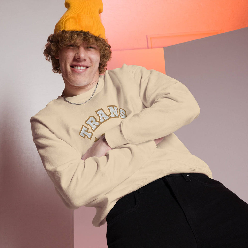 Trans Pride embroidered sweatshirt, view 3 — Rose Gold Co