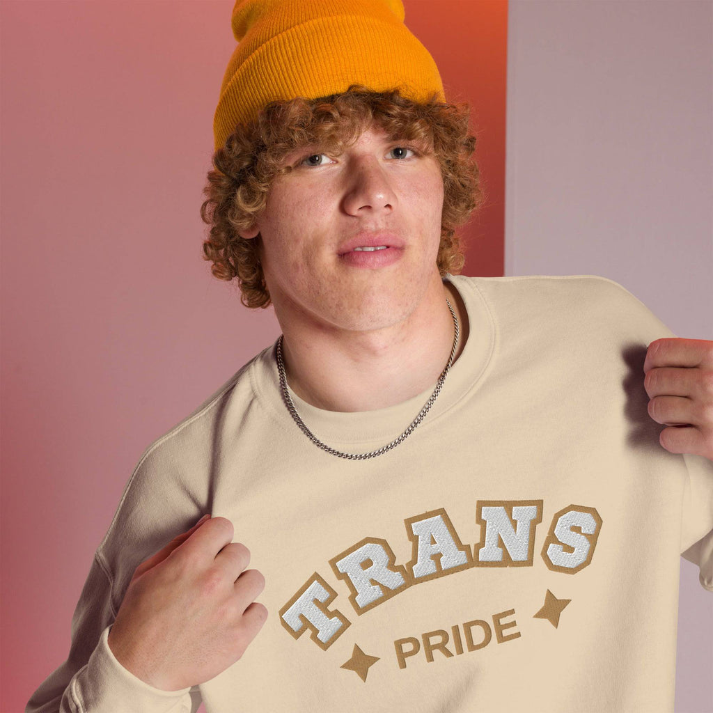Trans Pride embroidered sweatshirt, view 2 — Rose Gold Co