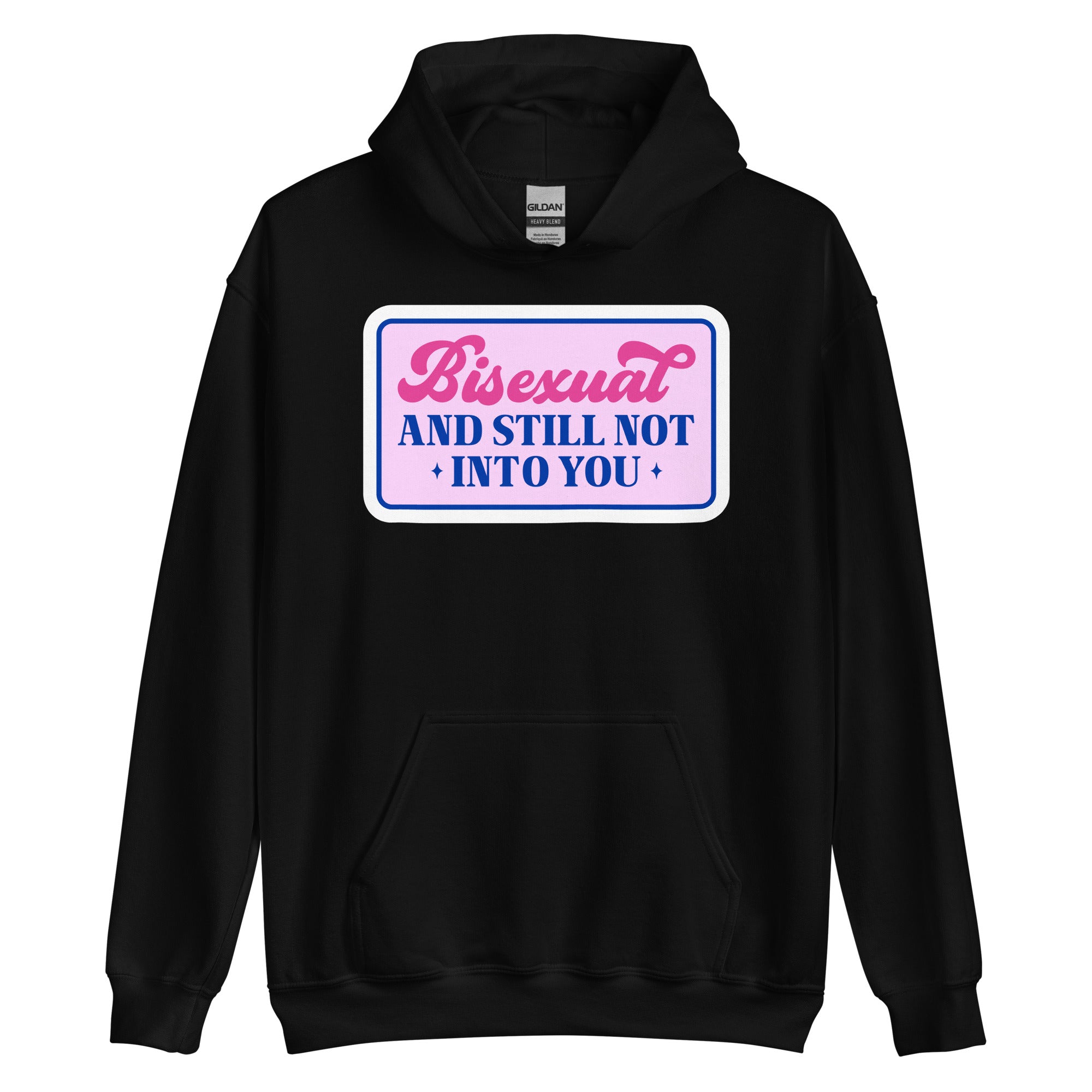 Bisexual and Still Not Into You pride hoodie, black, front view — Rose Gold Co