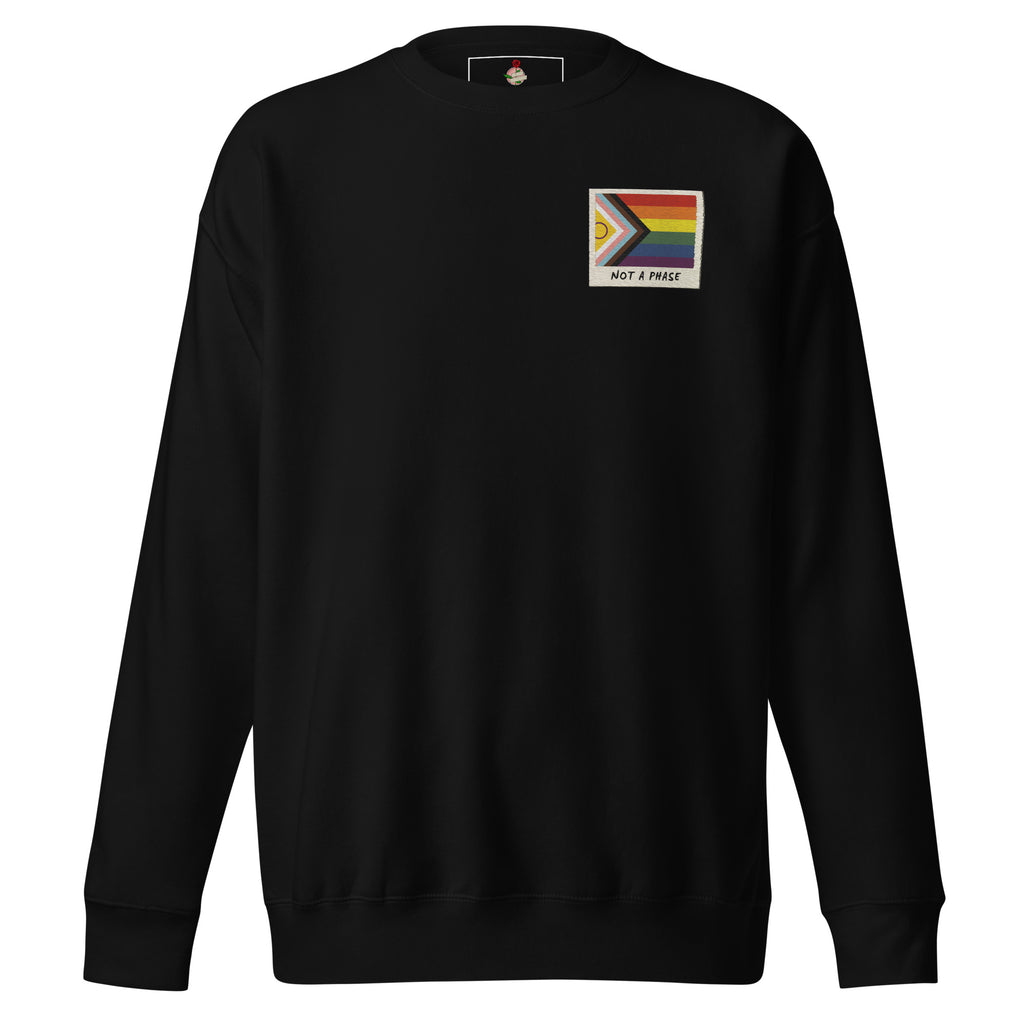 Not A Phase LGBT pride polaroid sweatshirt — Rose Gold Co