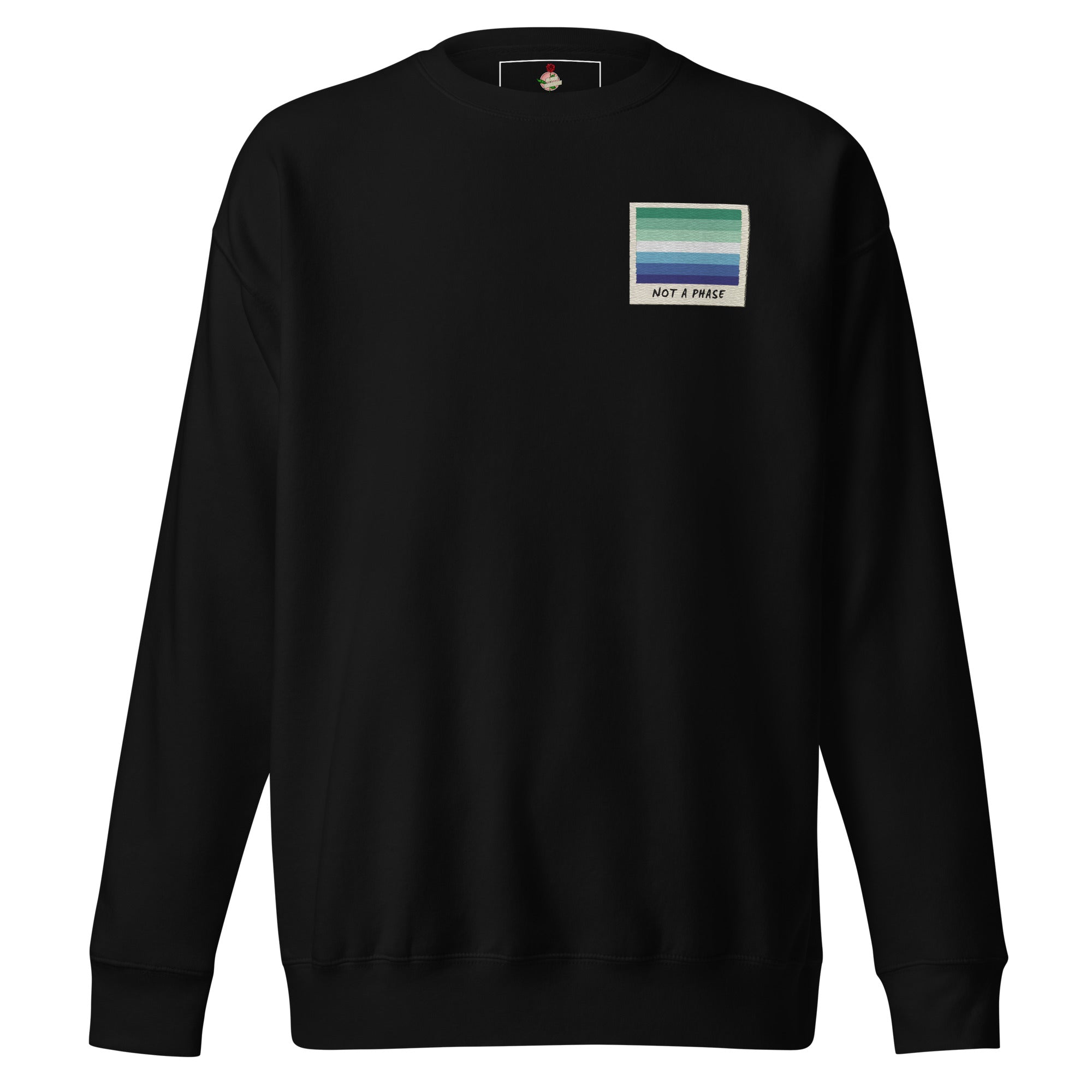 Not A Phase MLM pride polaroid sweatshirt — Rose Gold Co