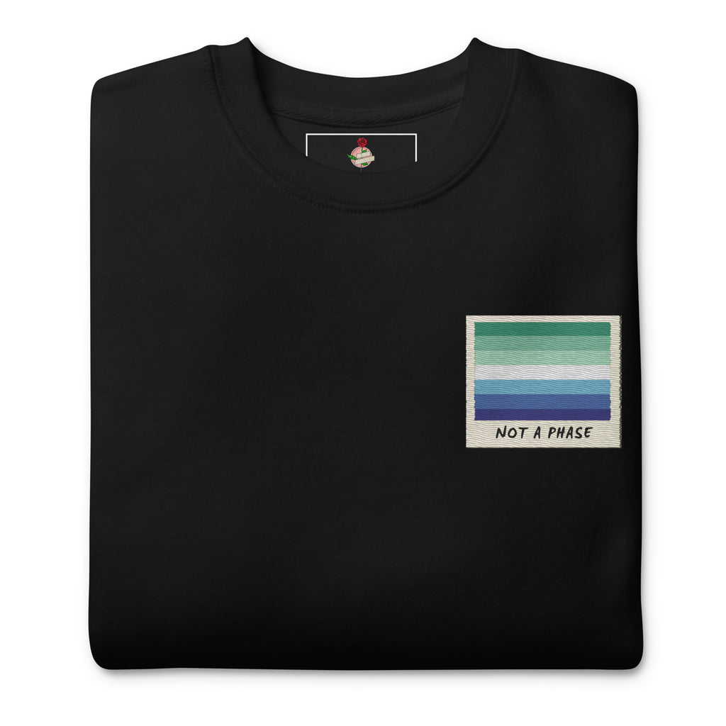 Not A Phase MLM pride polaroid sweatshirt, view 2 — Rose Gold Co