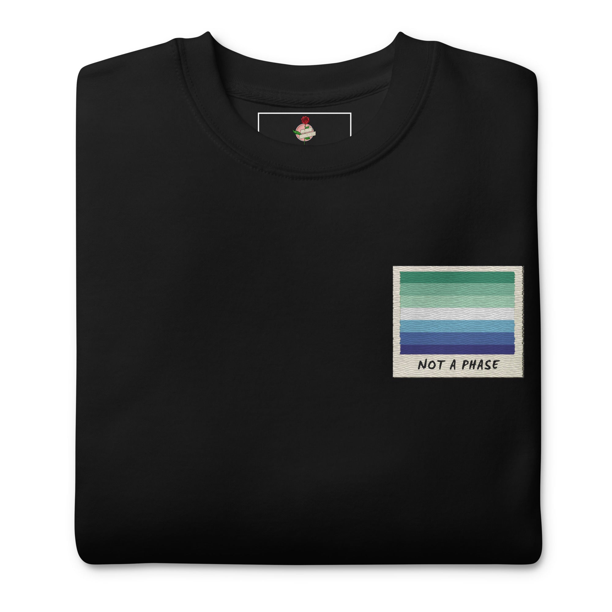 Not A Phase MLM pride polaroid sweatshirt, view 2 — Rose Gold Co