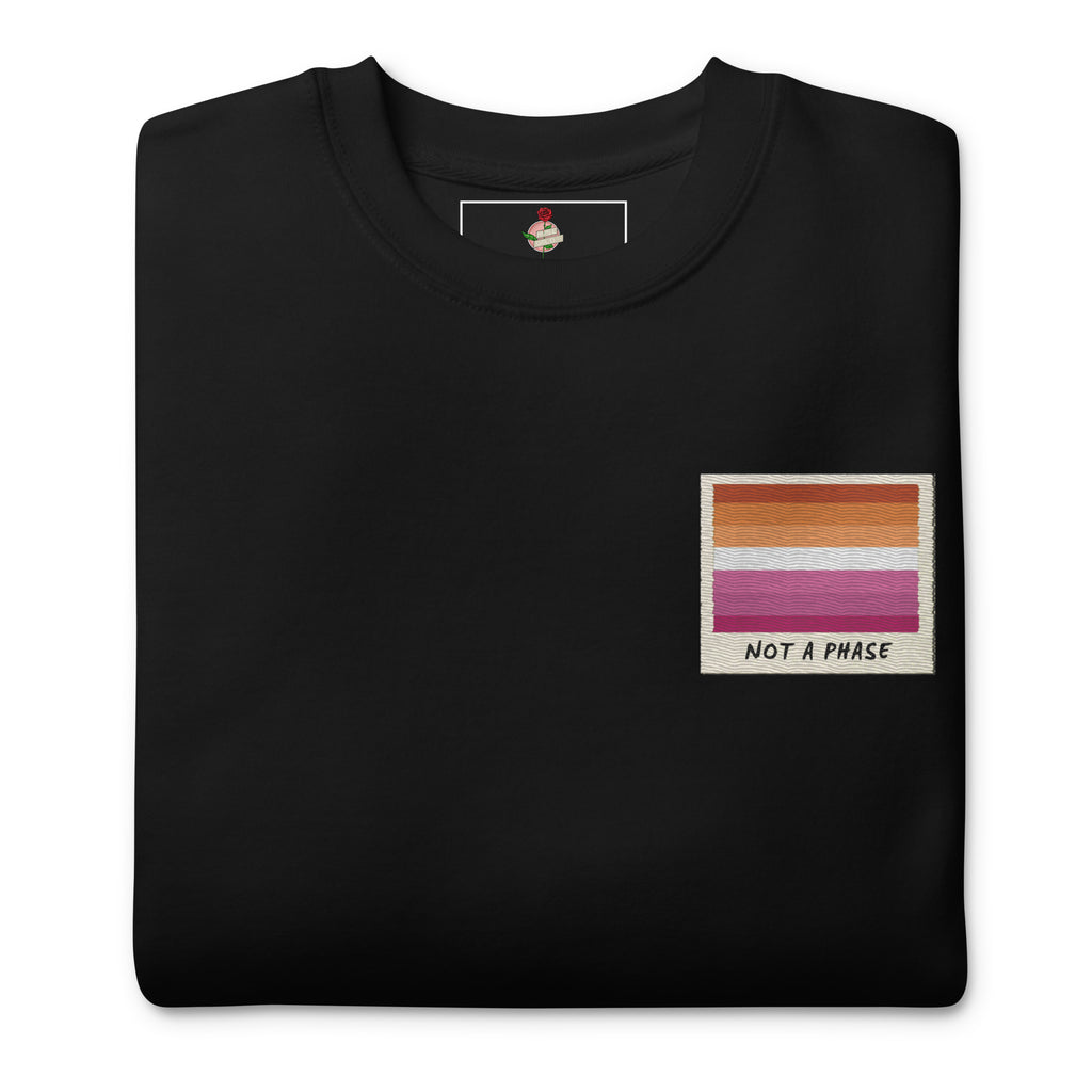 Not A Phase lesbian pride polaroid sweatshirt, view 2 — Rose Gold Co
