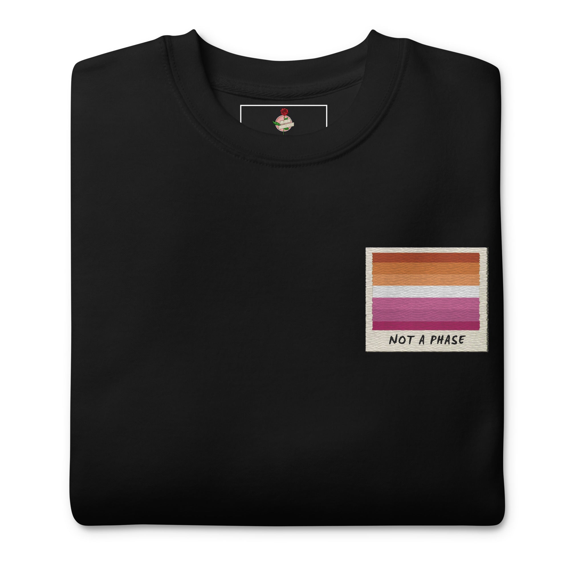 Not A Phase lesbian pride polaroid sweatshirt, view 2 — Rose Gold Co
