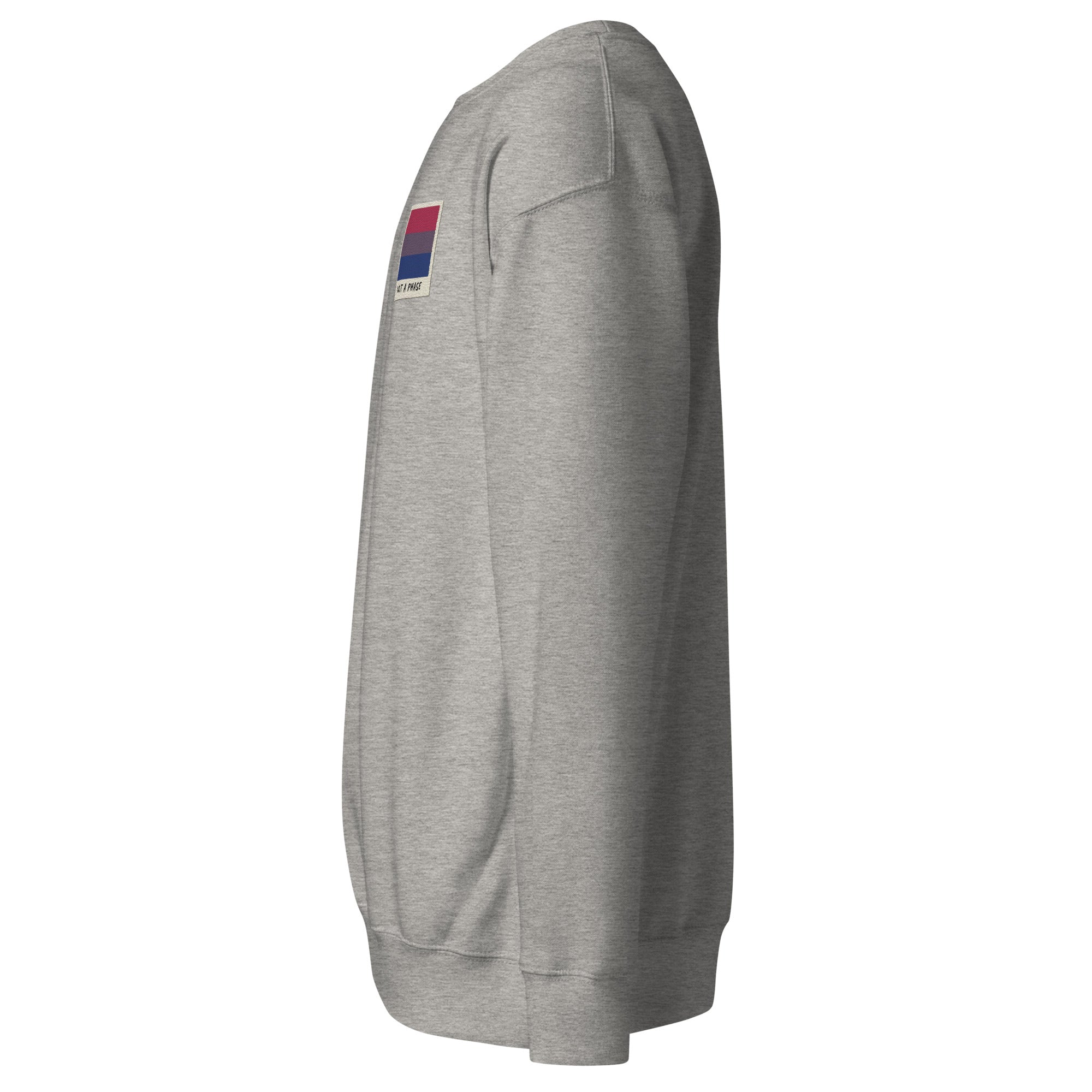 Not A Phase bisexual pride polaroid sweatshirt, view 10 — Rose Gold Co