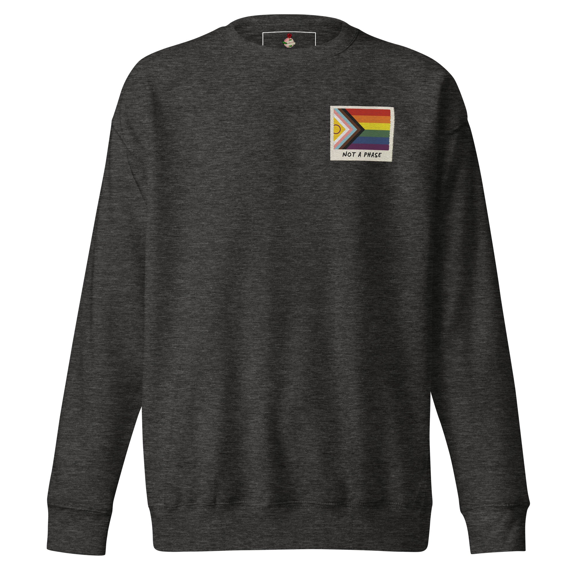 Not A Phase LGBT pride polaroid sweatshirt, view 4 — Rose Gold Co