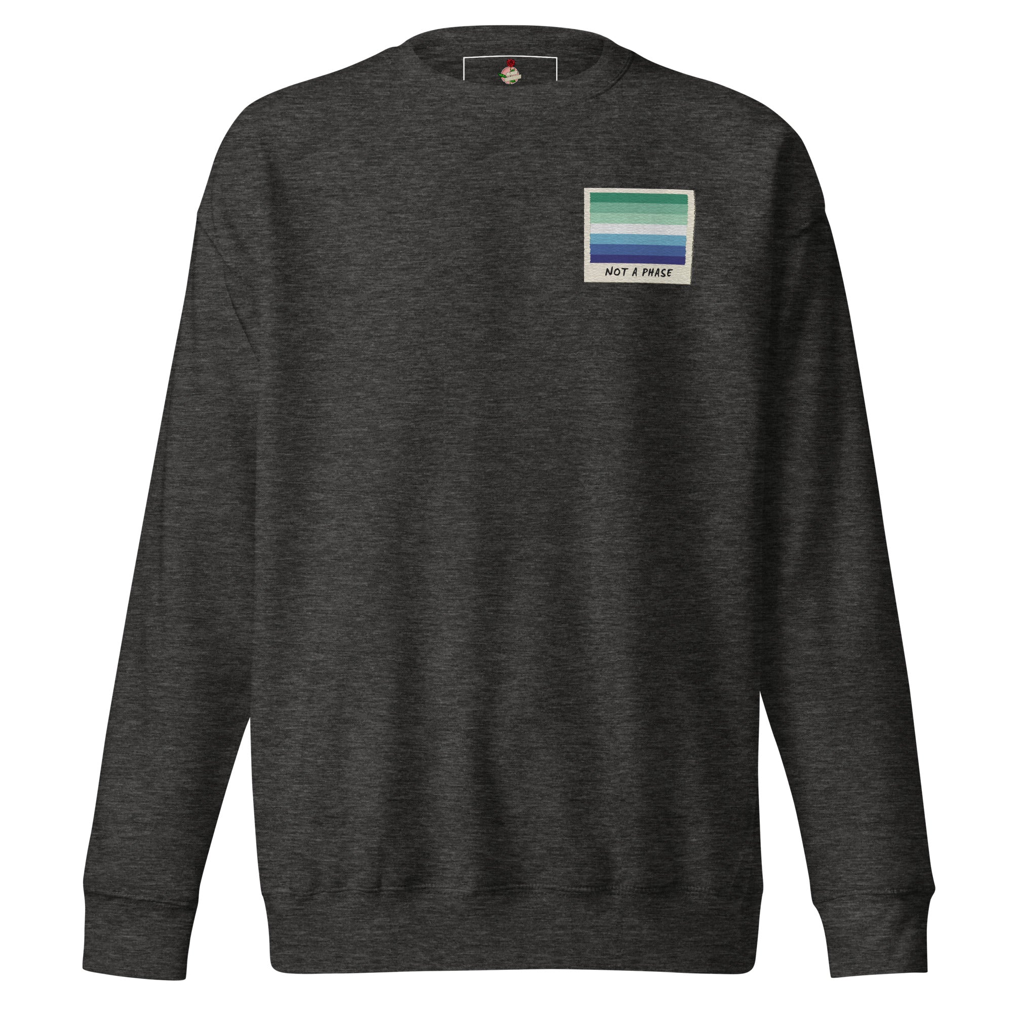 Not A Phase MLM pride polaroid sweatshirt, view 4 — Rose Gold Co