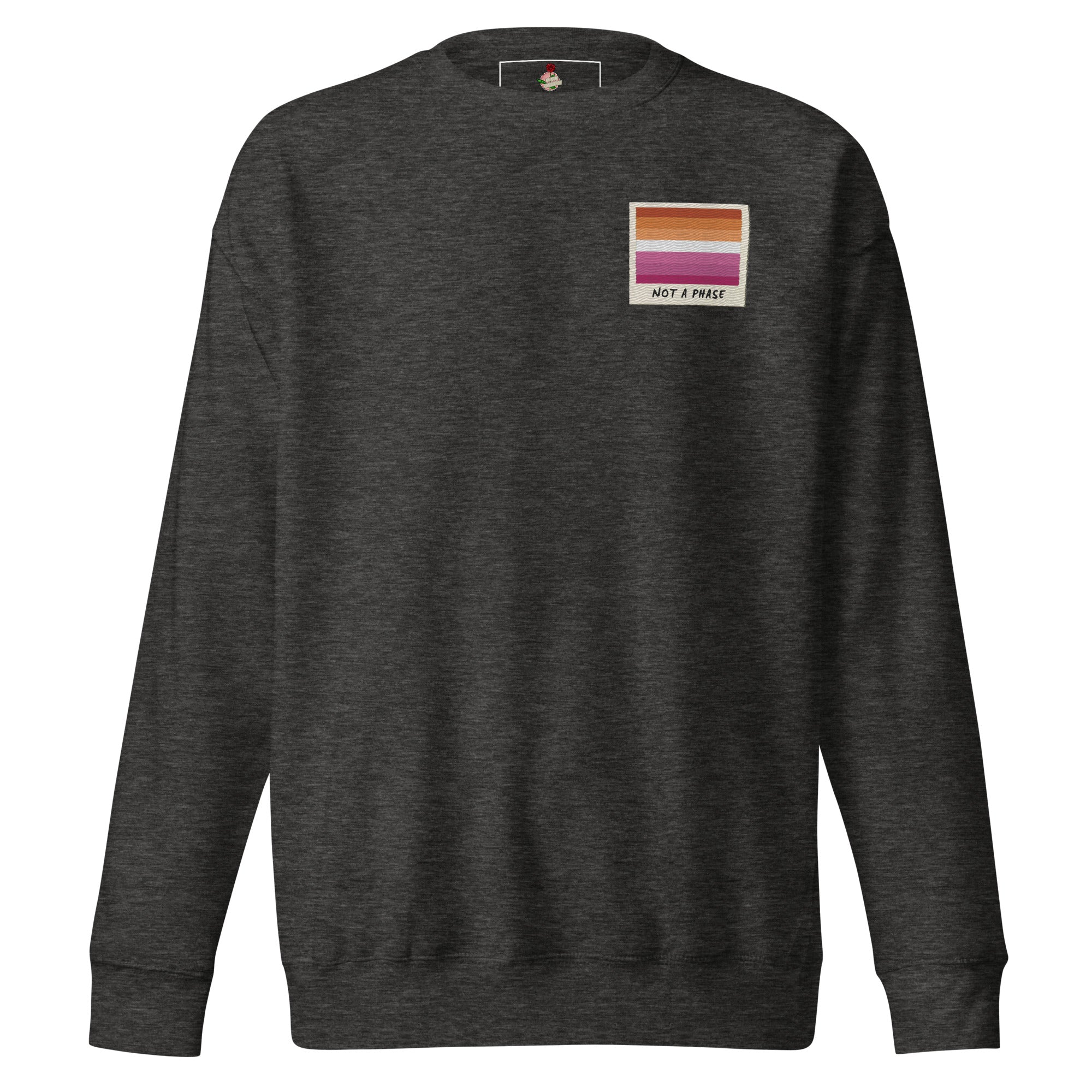 Not A Phase lesbian pride polaroid sweatshirt, view 4 — Rose Gold Co