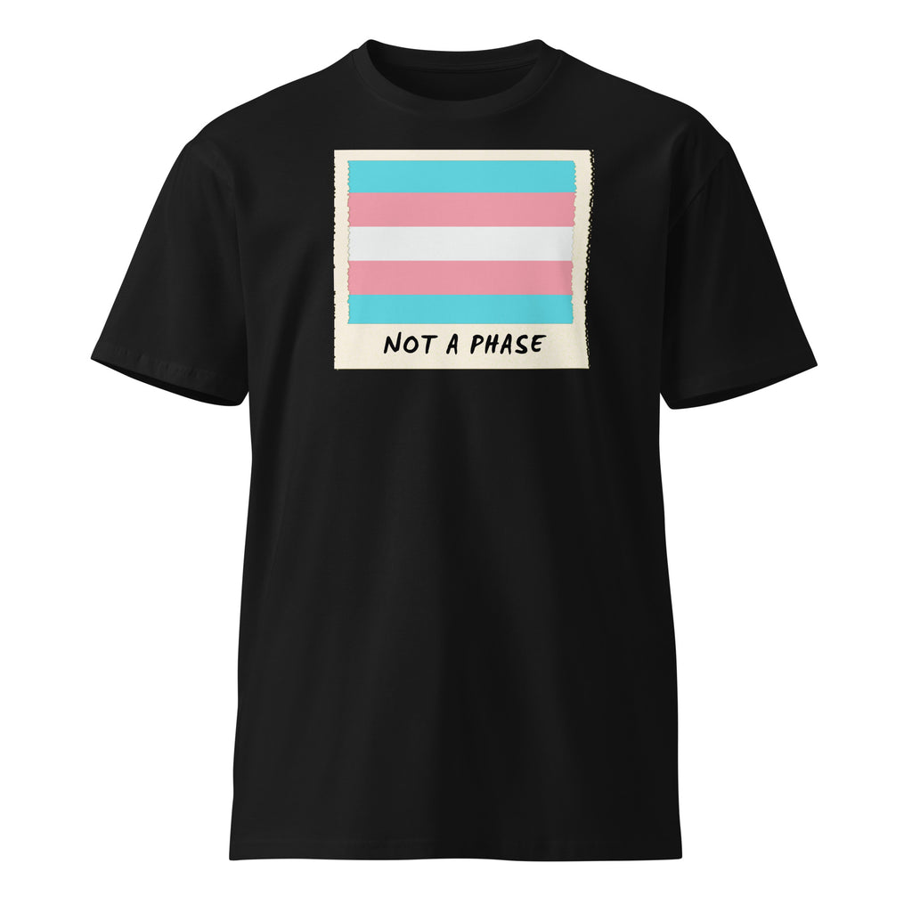 Not A Phase trans pride polaroid tee, view 3 — Rose Gold Co