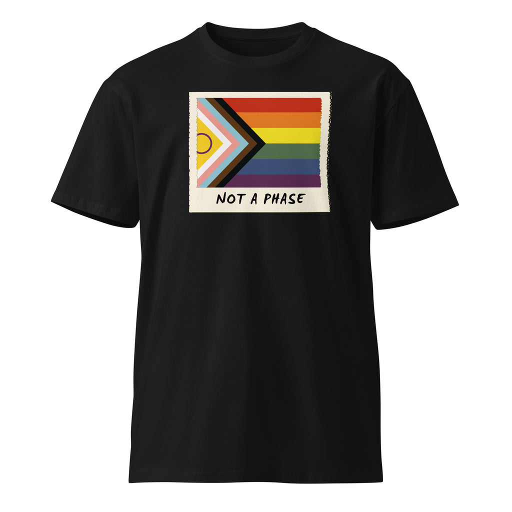 Not A Phase Progress Pride polaroid tee, view 5 — Rose Gold Co