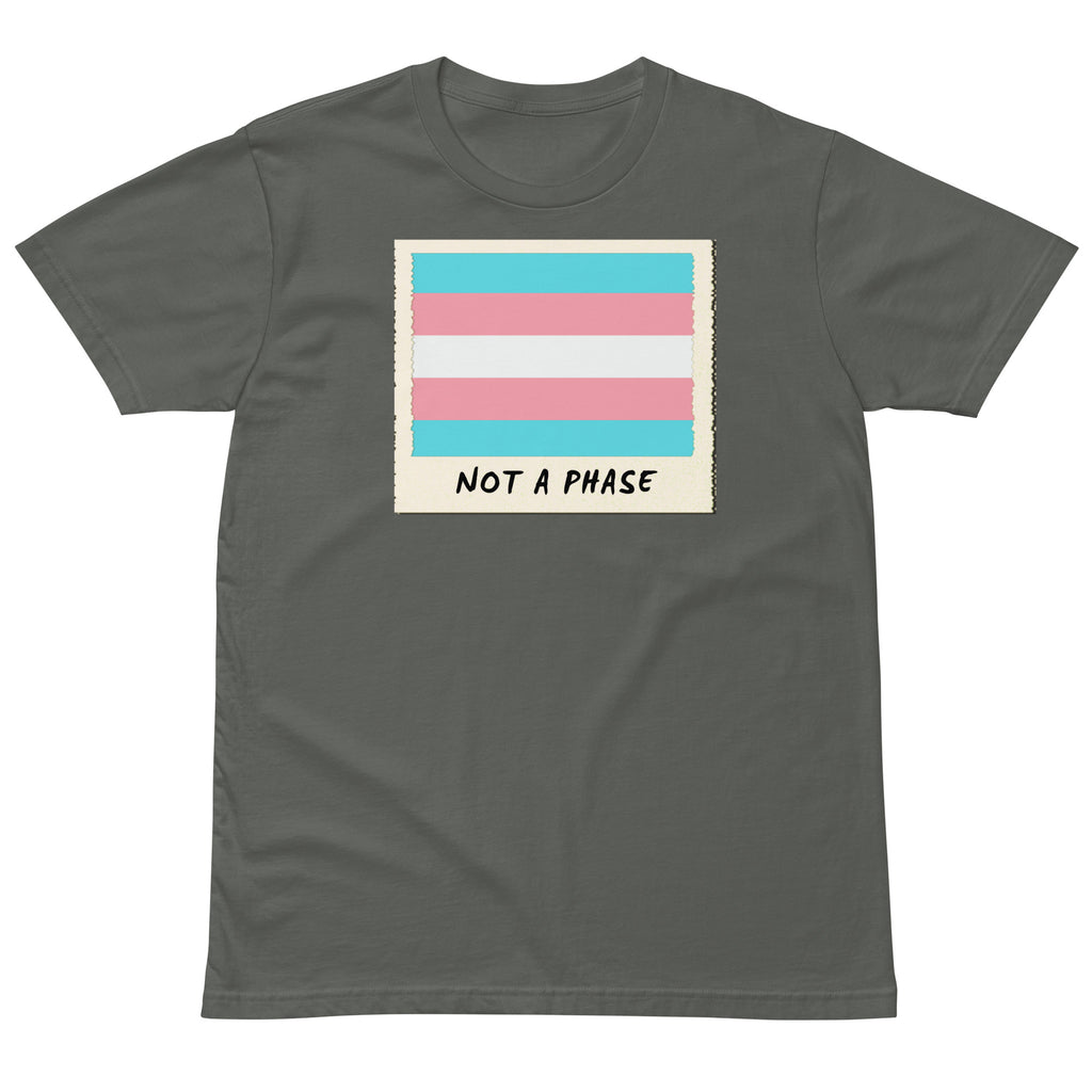 Not A Phase trans pride polaroid tee, view 2 — Rose Gold Co