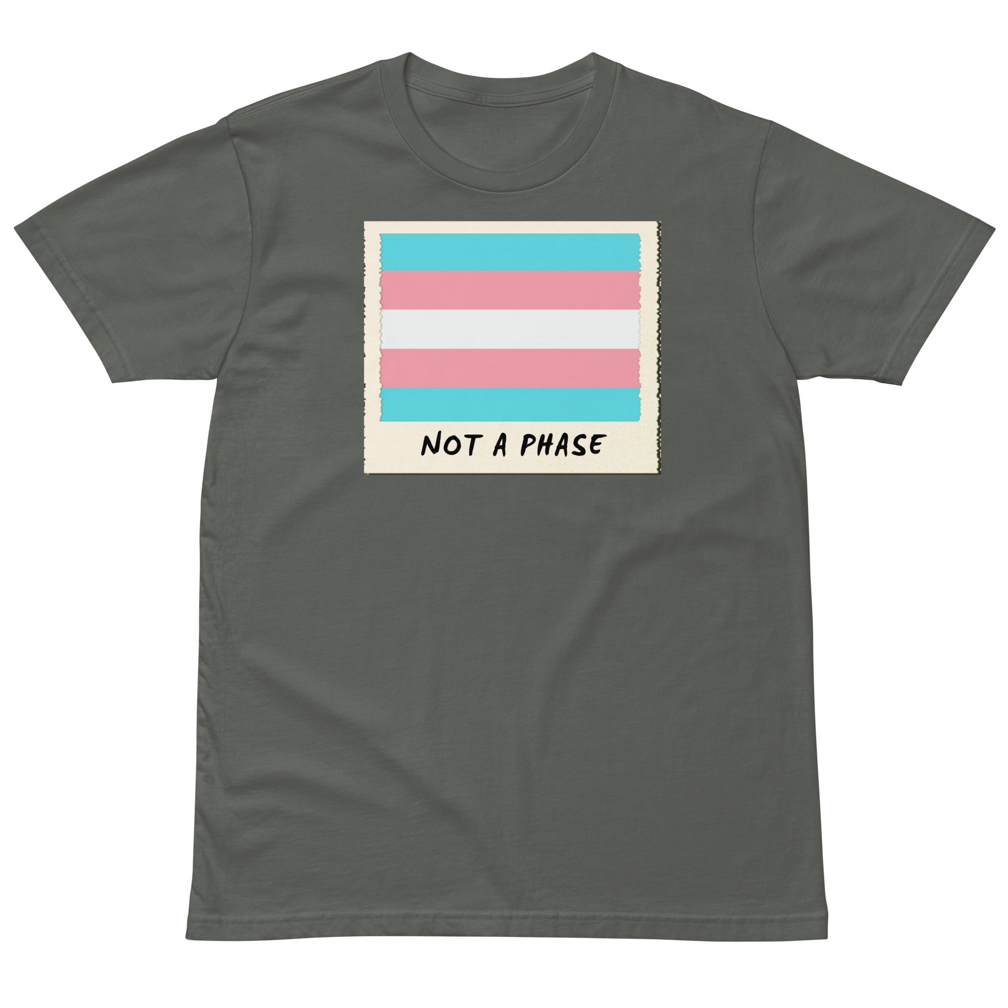 Not A Phase trans pride polaroid tee, view 2 — Rose Gold Co