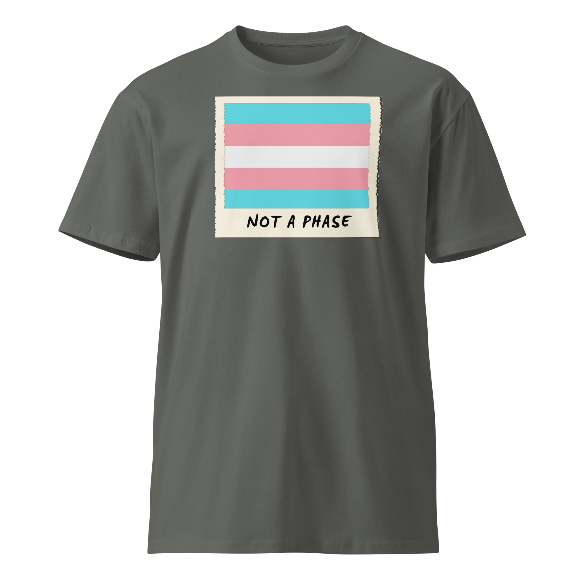 Not A Phase trans pride polaroid tee, view 5 — Rose Gold Co