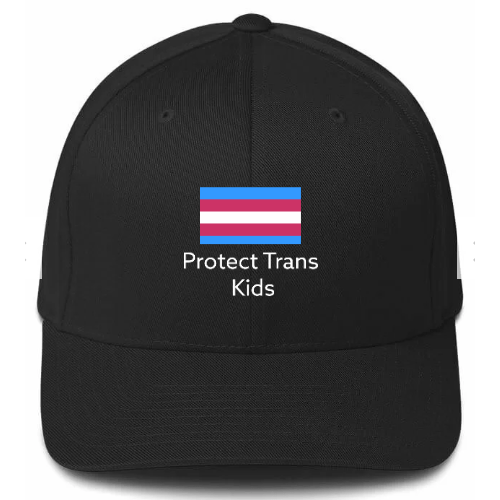 Protect Trans Kids Hat