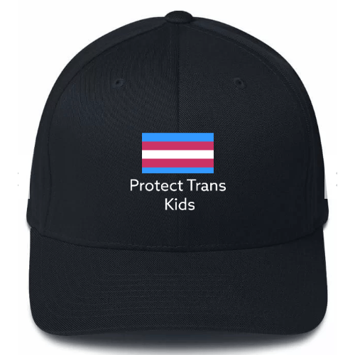 Protect Trans Kids Hat - Rose Gold Co. Shop