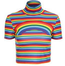 Rainbow Turtleneck Polyester Crop Top - Rose Gold Co. Shop