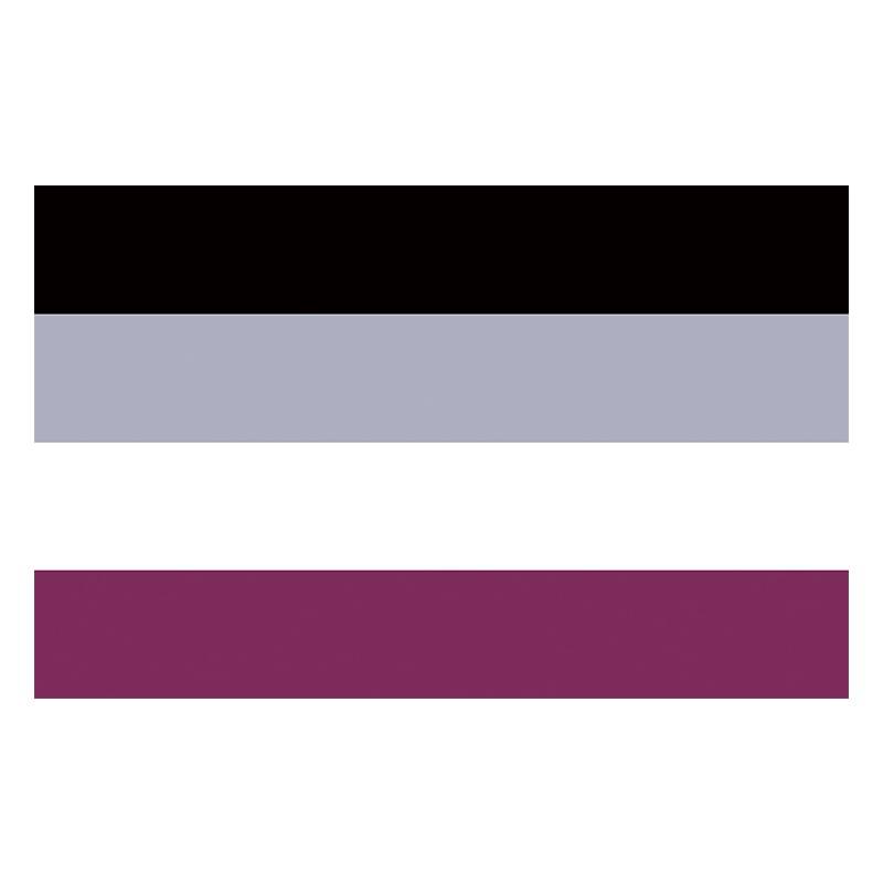 Asexual Ace 3x5ft Flag - Rose Gold Co. Shop