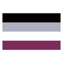 Asexual Ace 3x5ft Flag - Rose Gold Co. Shop