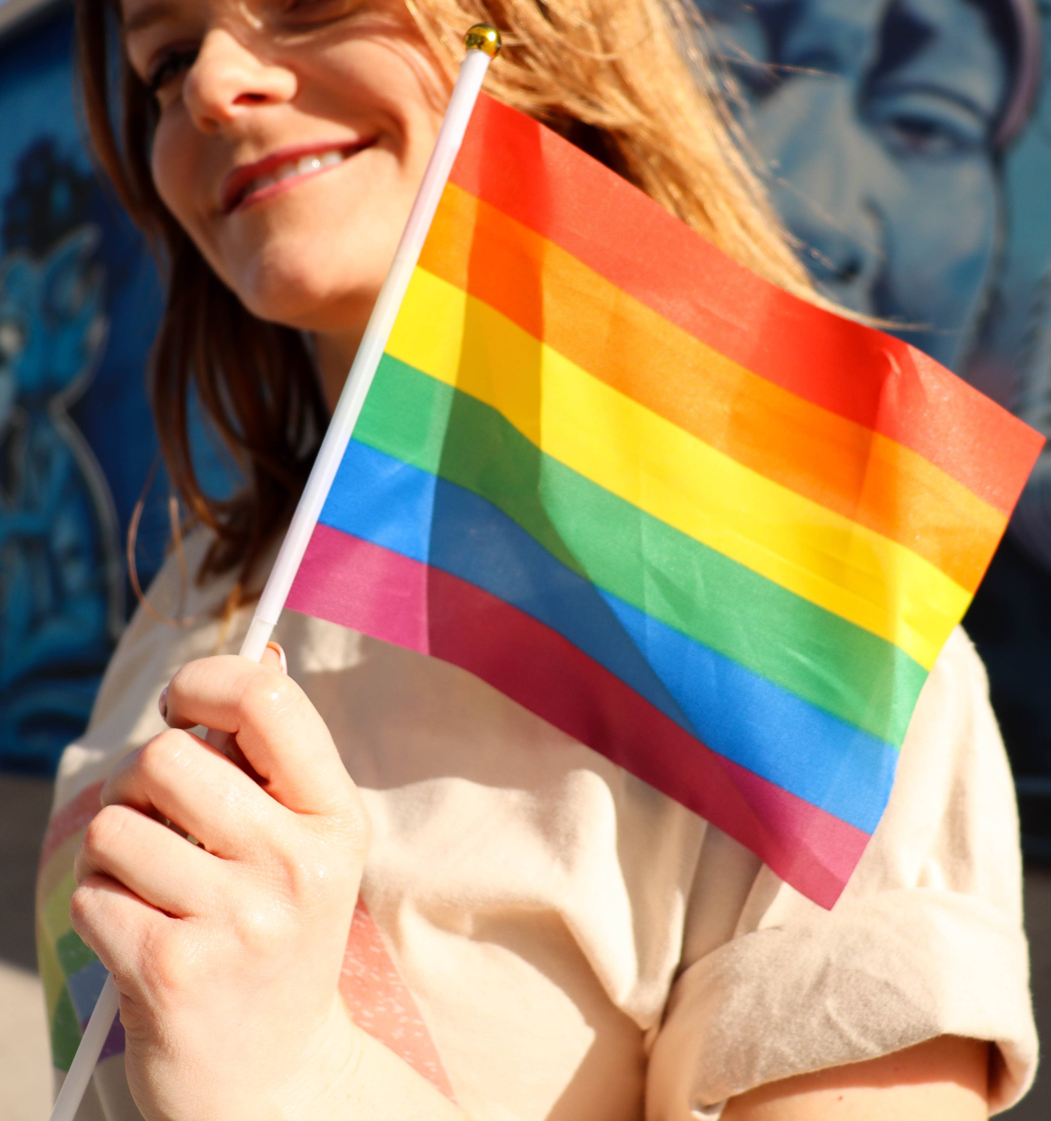 Mini Rainbow Pride Flags 10 Pcs
