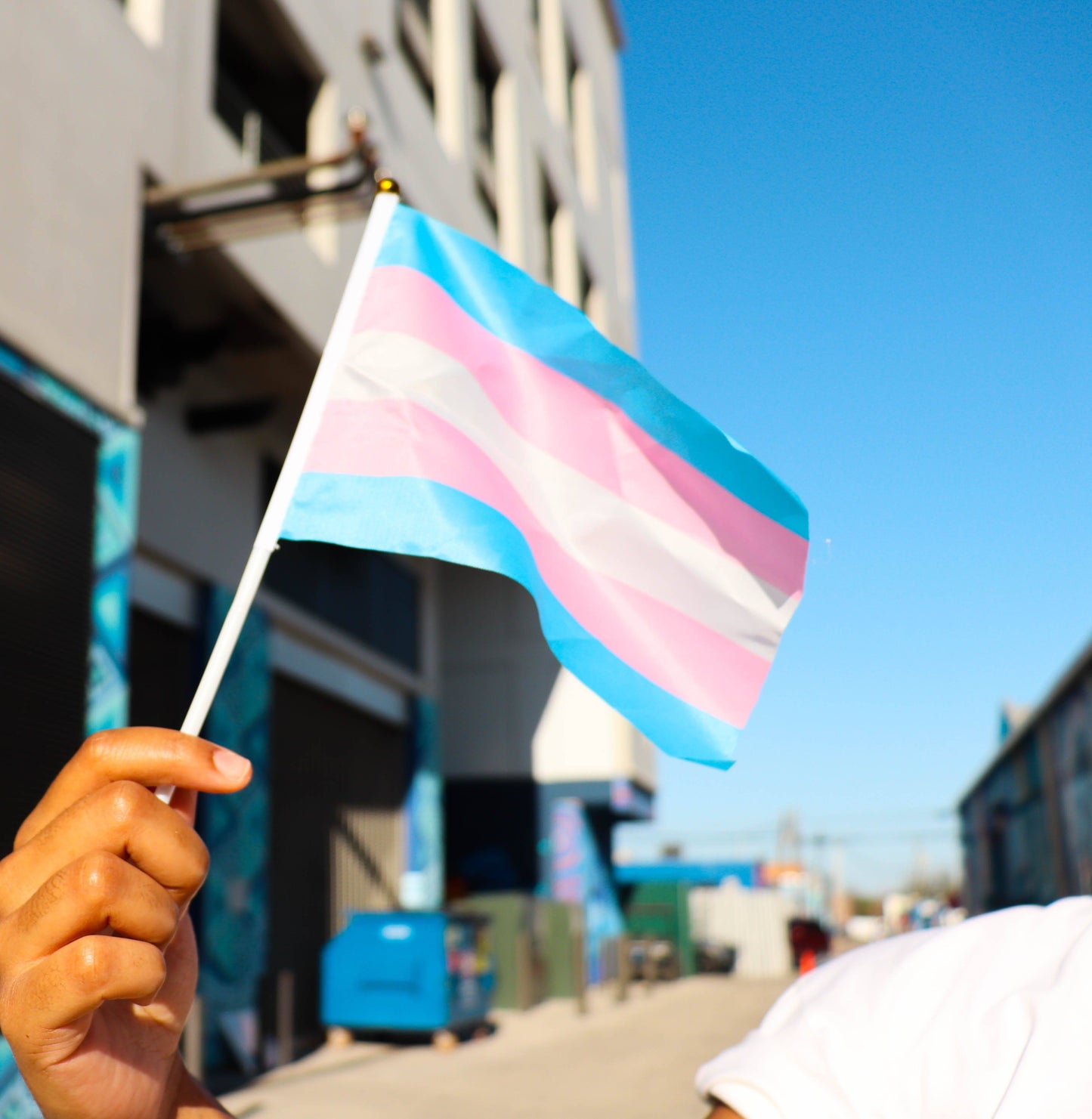 Mini Trans Pride Flags 10Pcs - Rose Gold Co. Shop