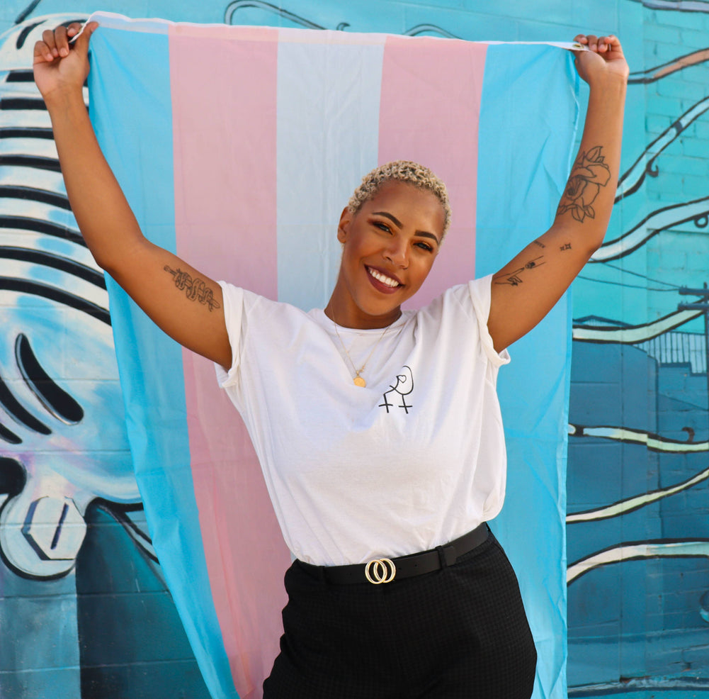 Transgender Pride Flag 3x5 ft