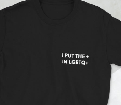 I put the Plus in LGBTQ+ T-Shirt - Rose Gold Co. Shop